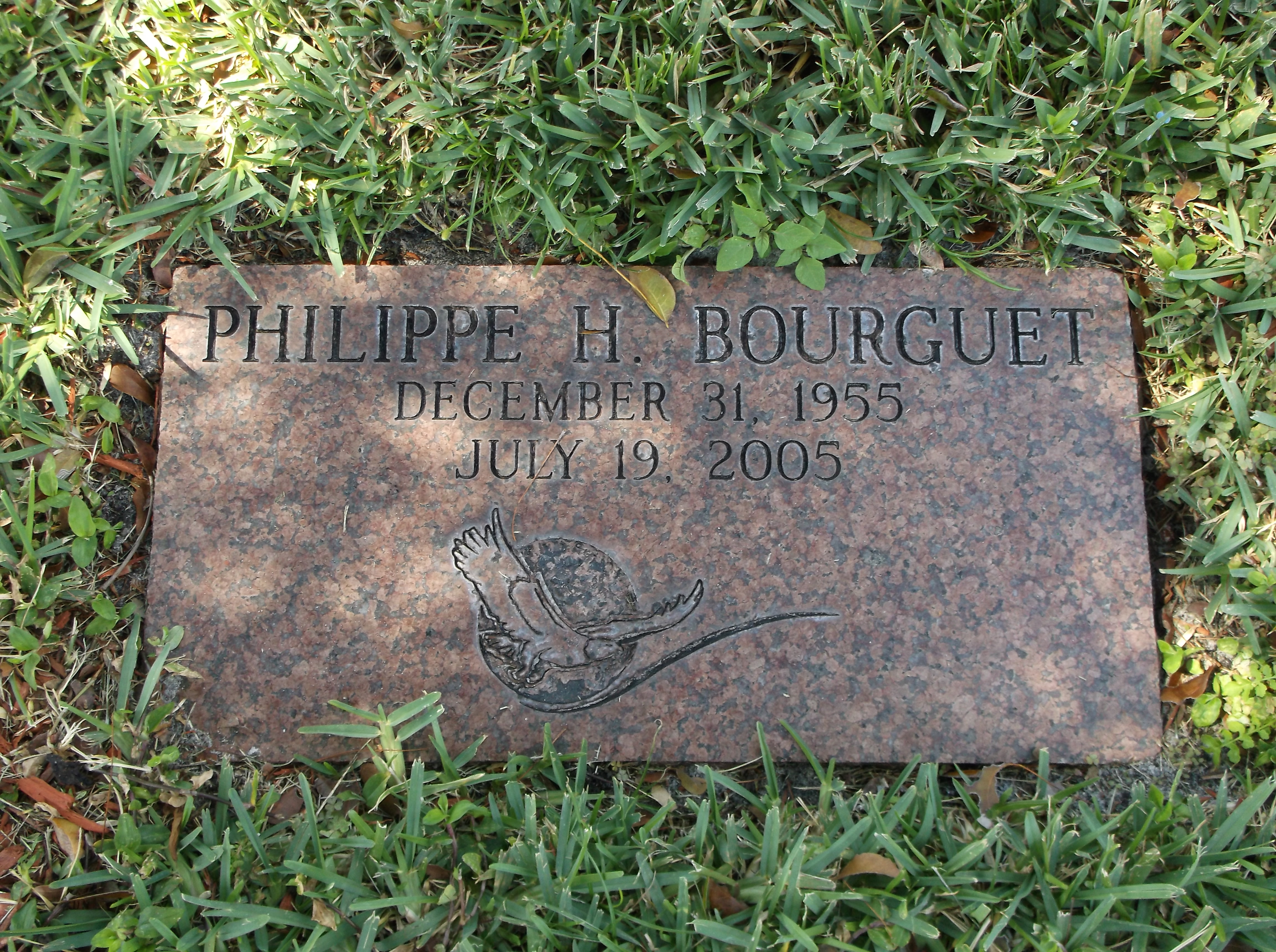 Philippe H Bourguet