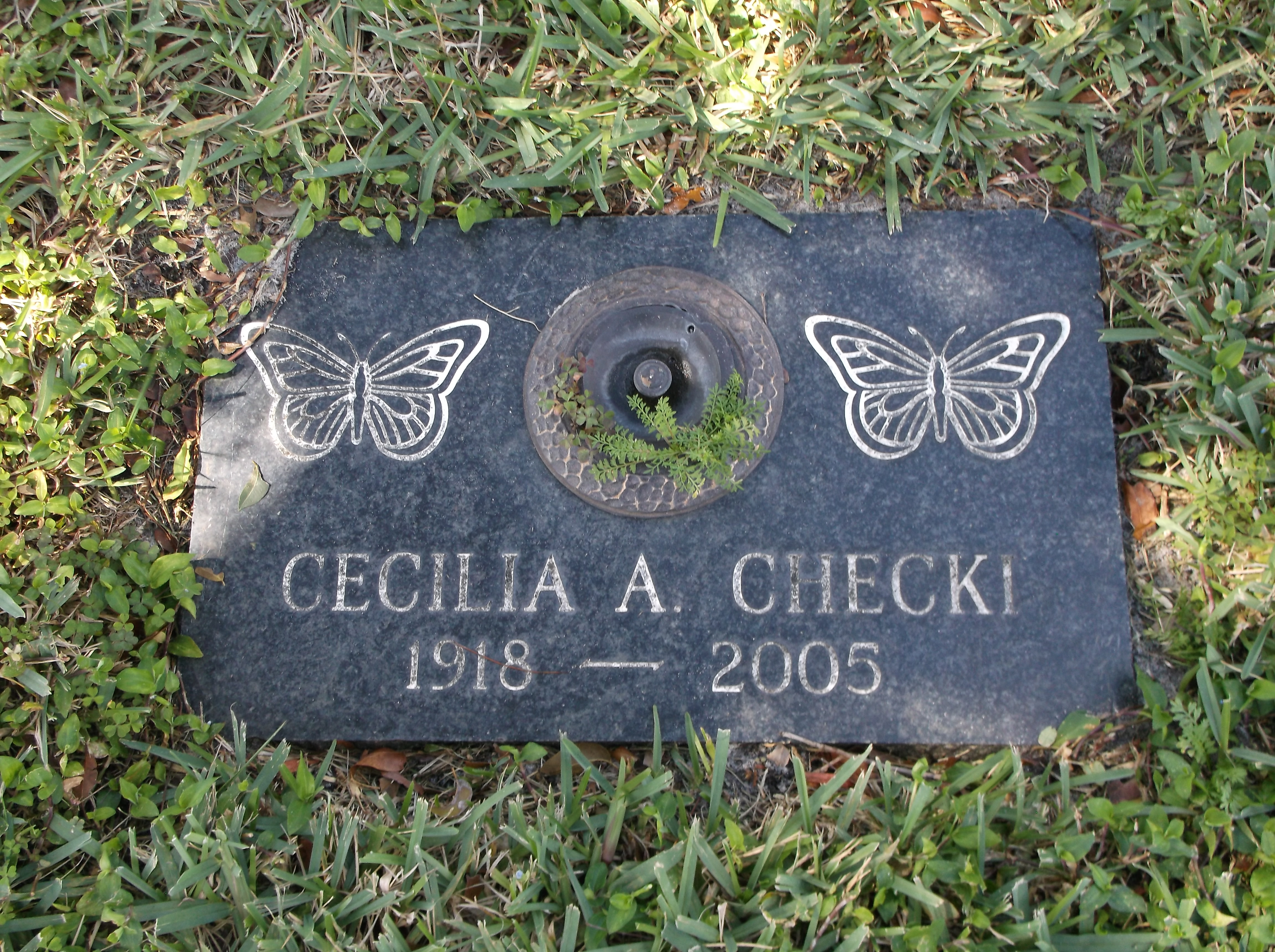 Cecilia A Checki