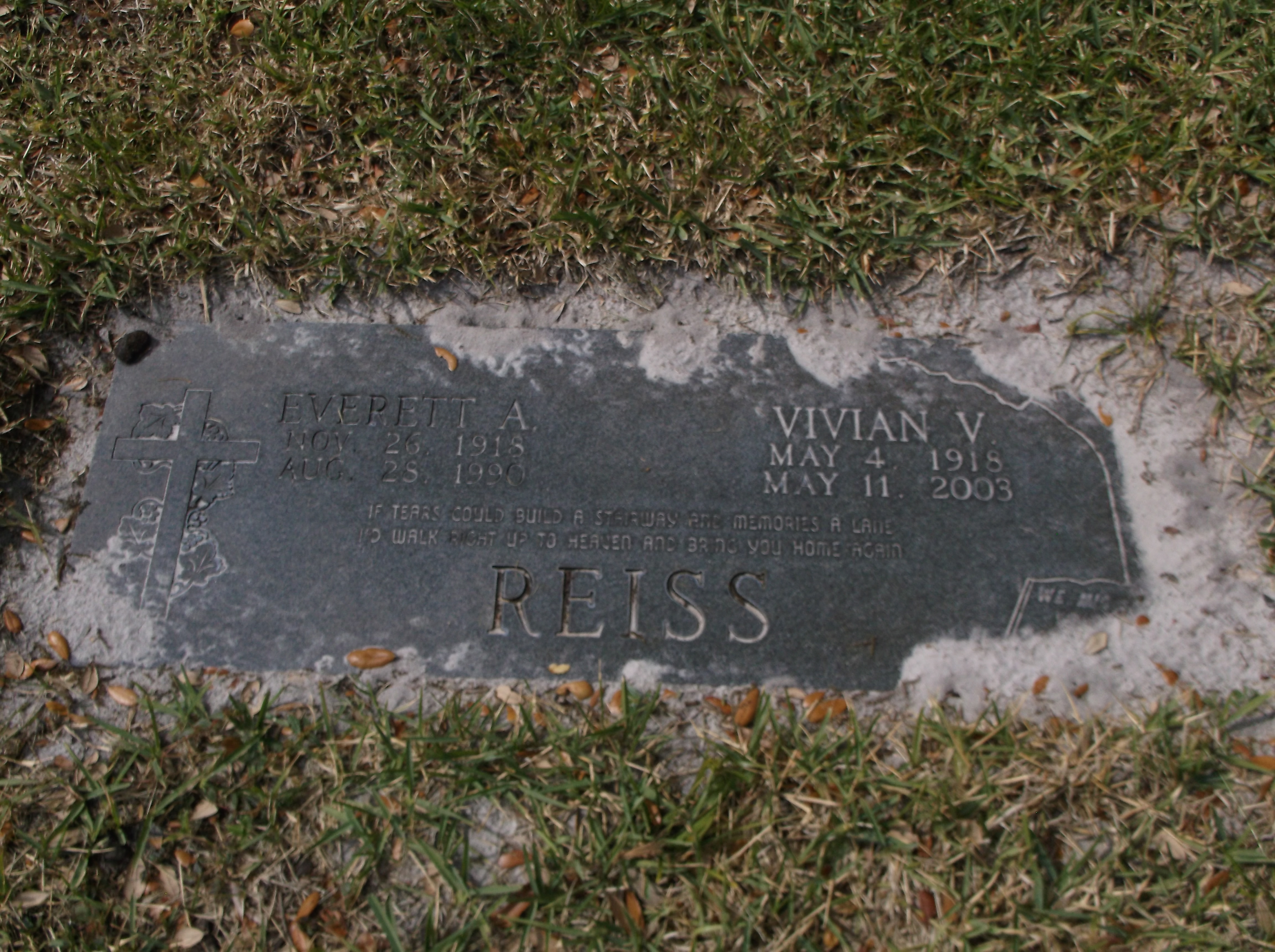 Vivian V Reiss