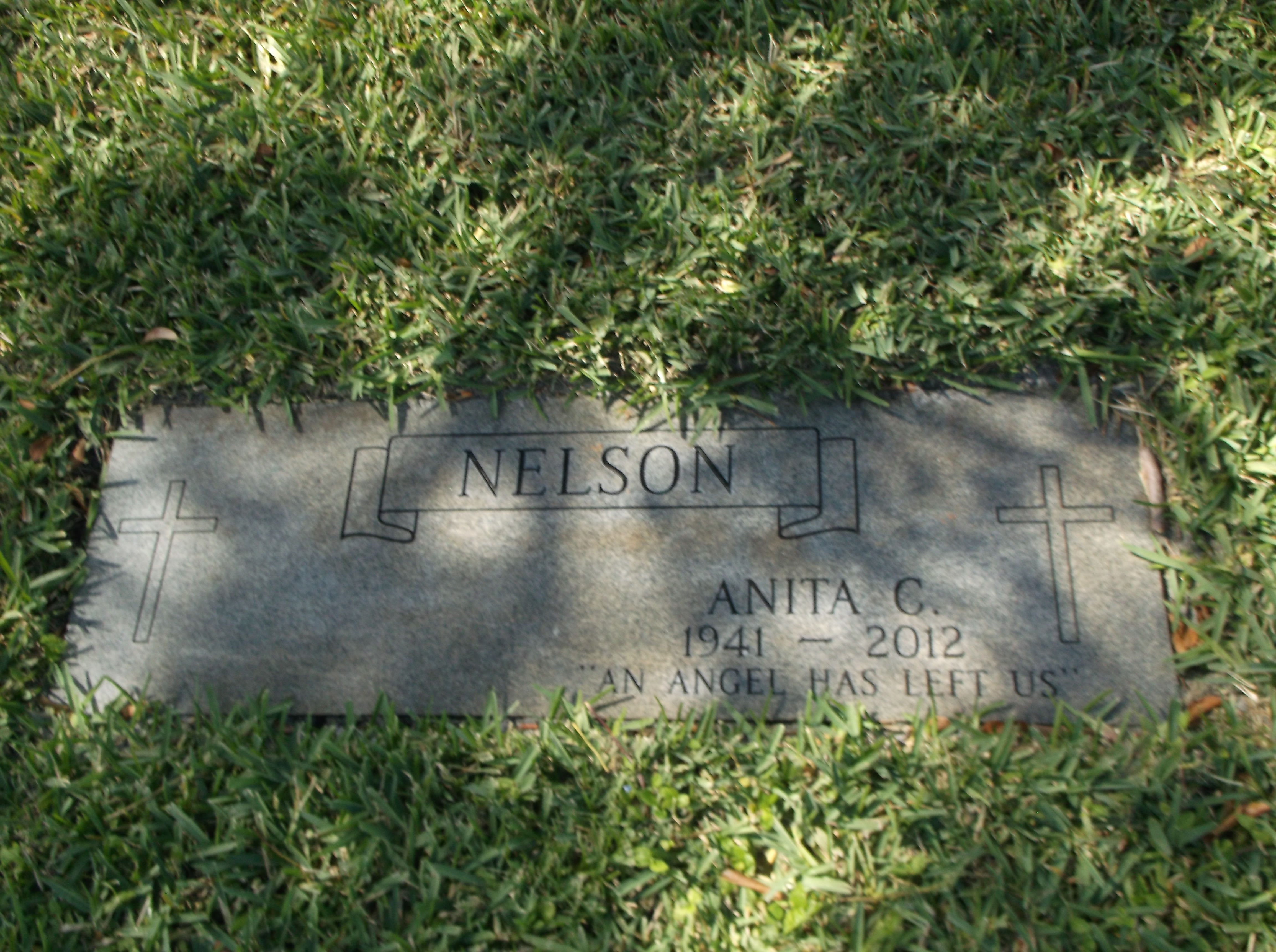 Anita C Nelson