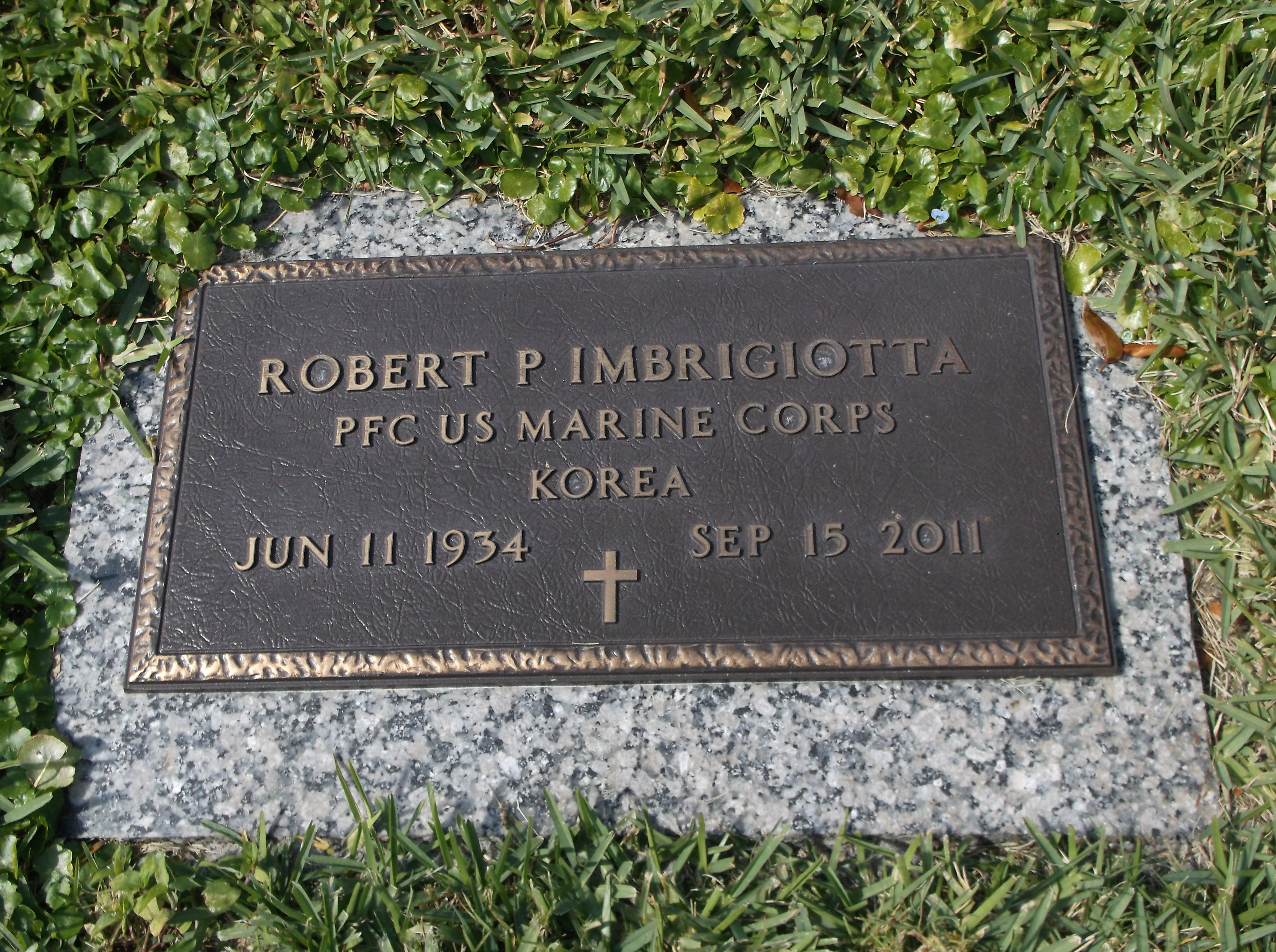 Robert P Imbrigiotta