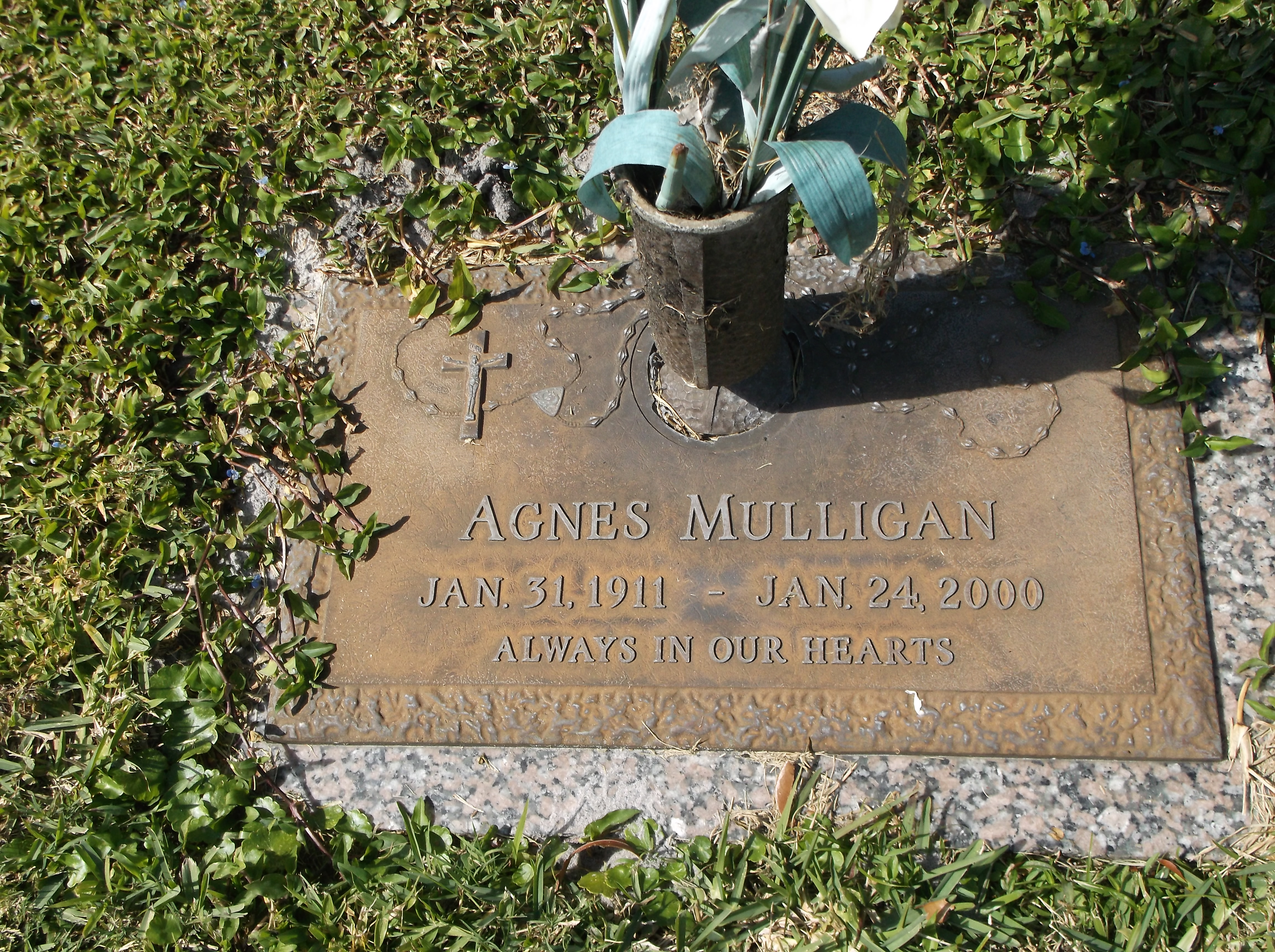 Agnes Mulligan