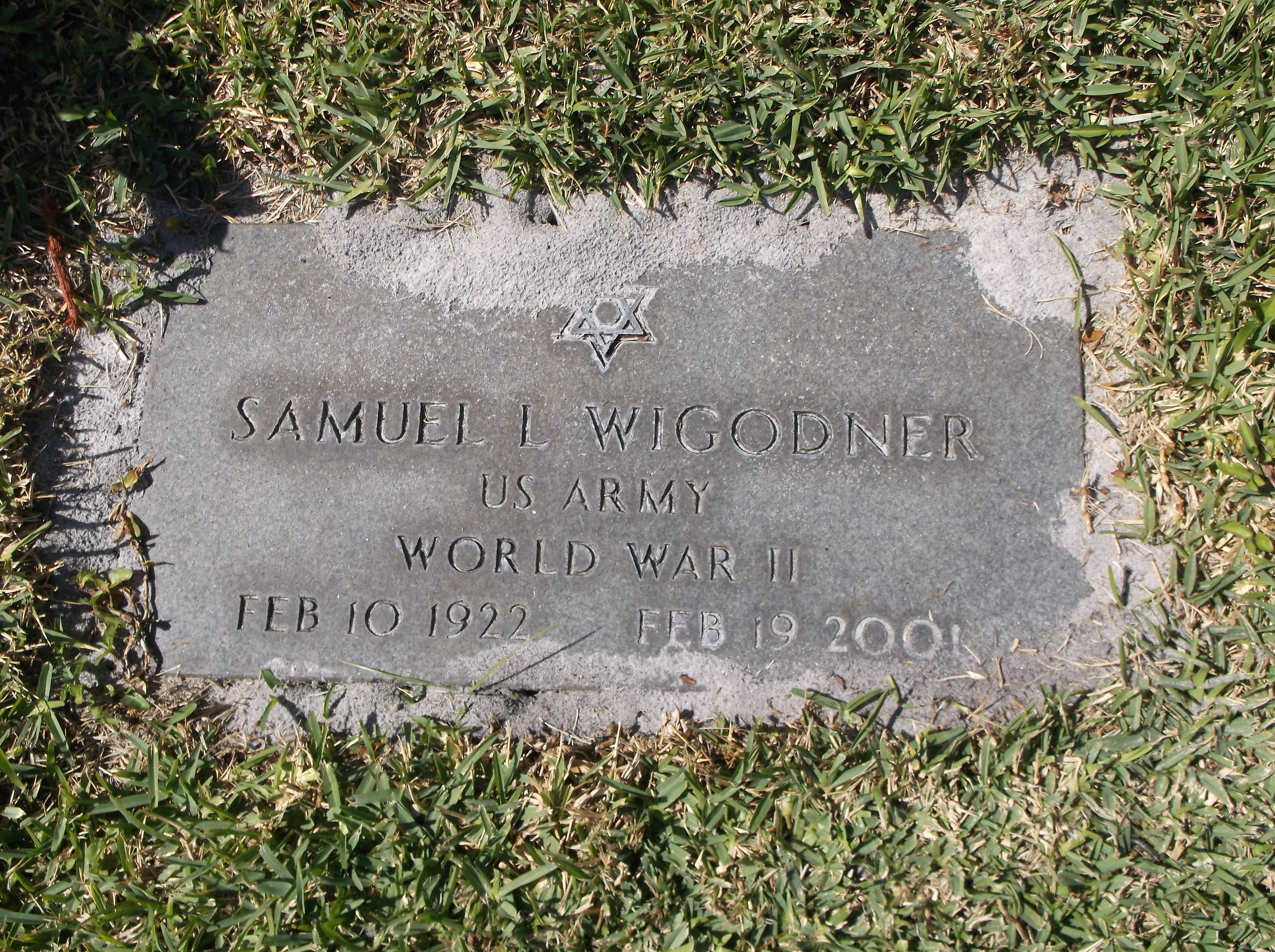 Samuel L Wigodner