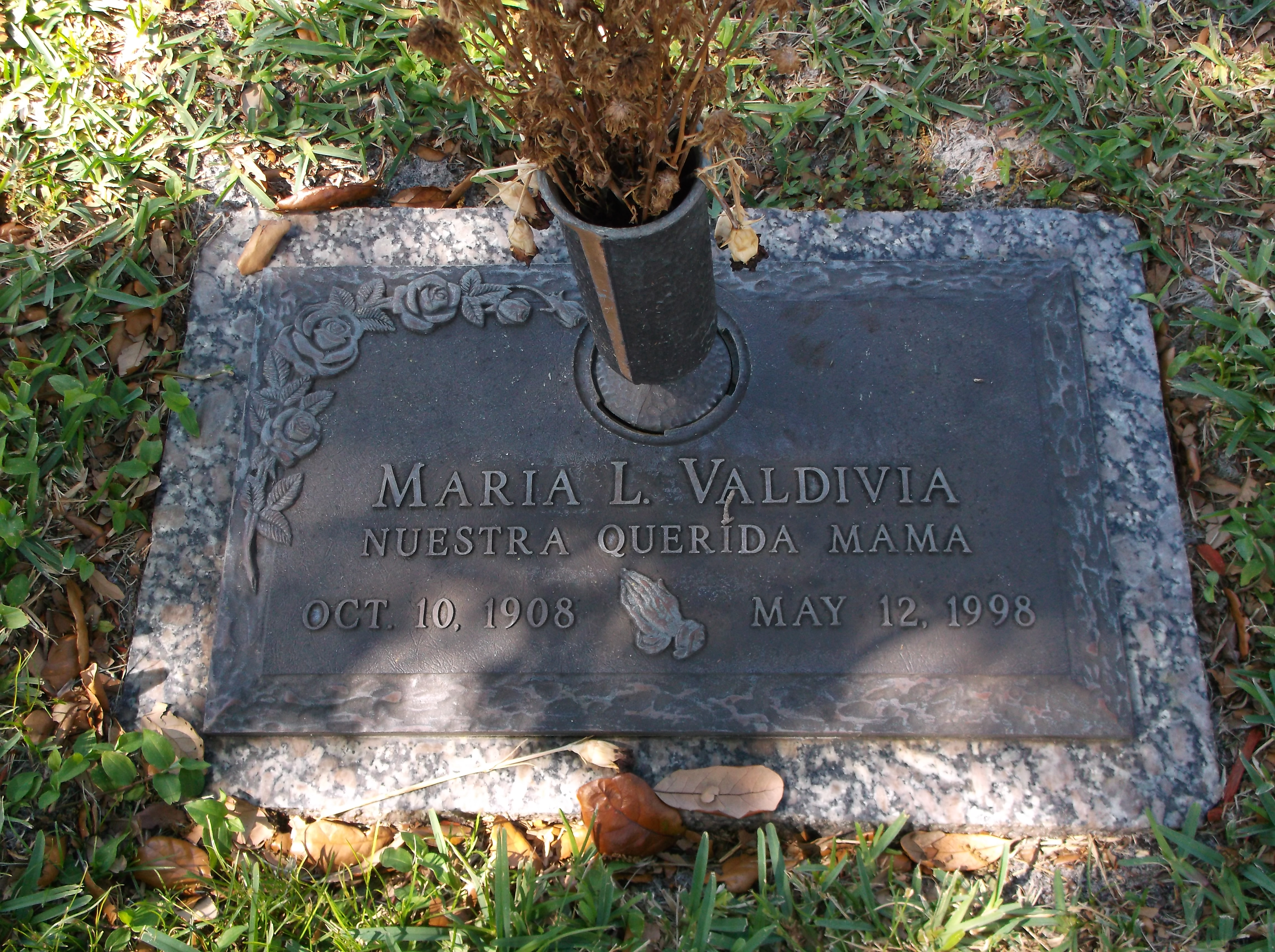 Maria L Valdivia