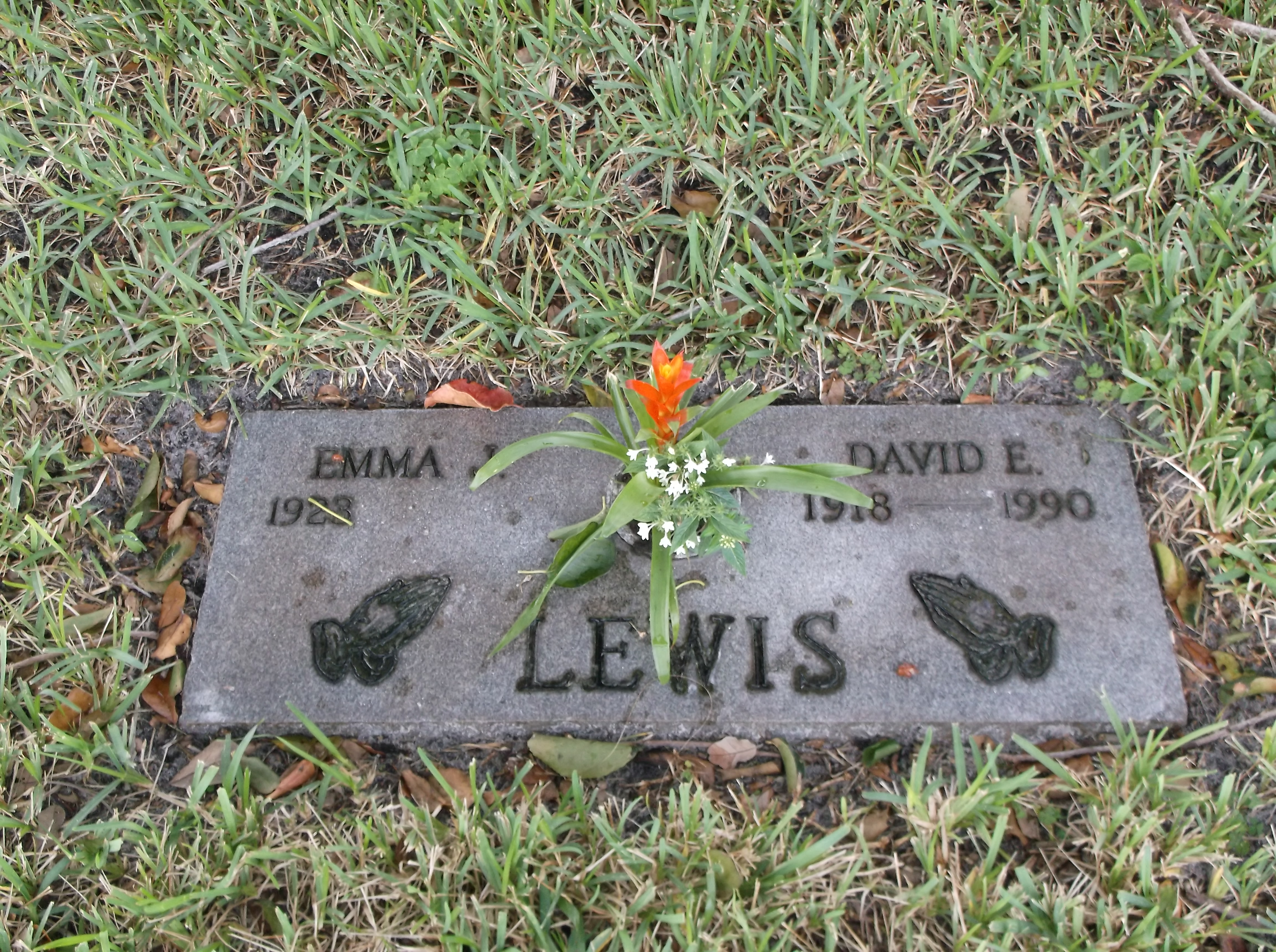 David E Lewis