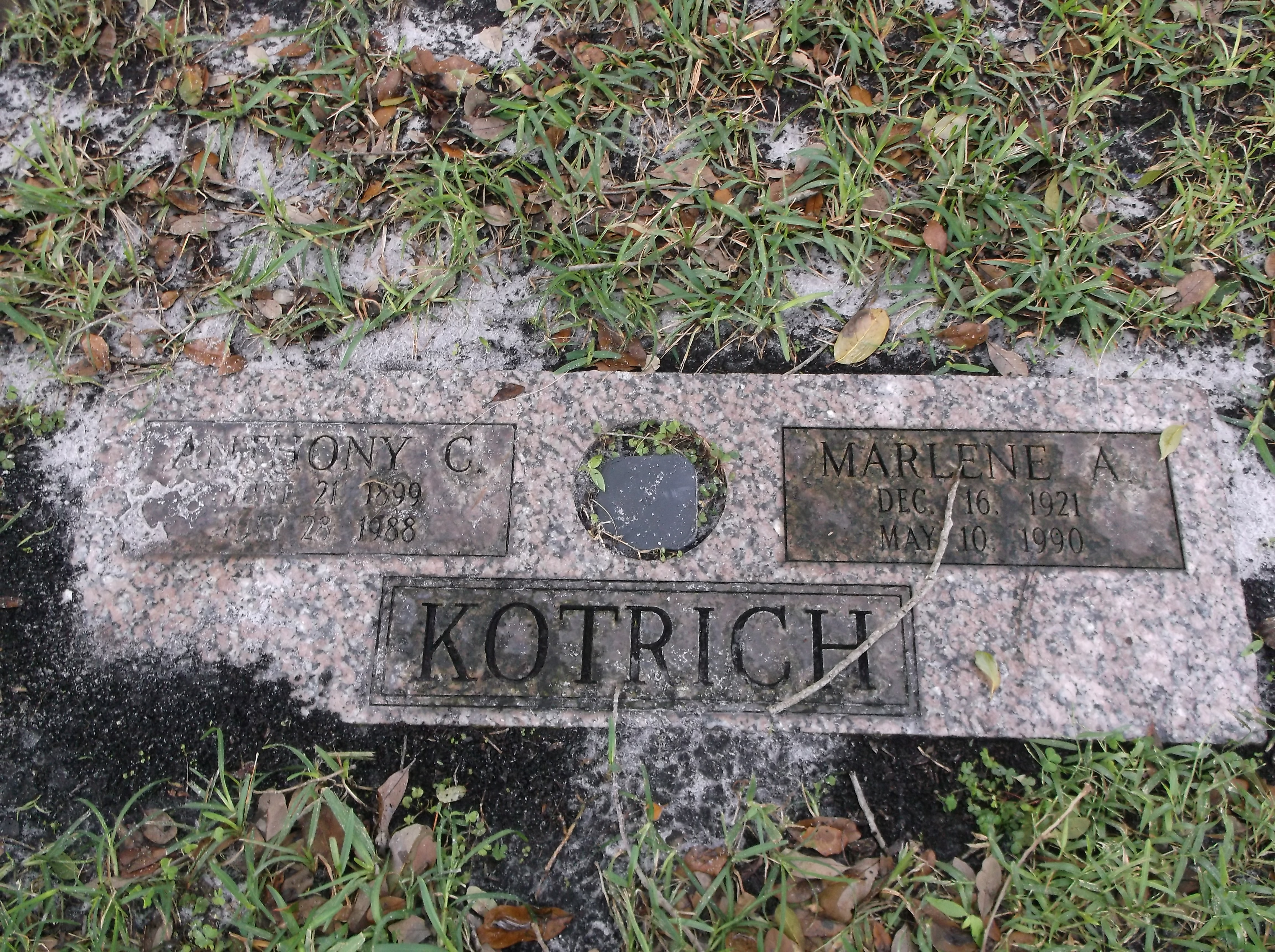 Marlene A Kotrich