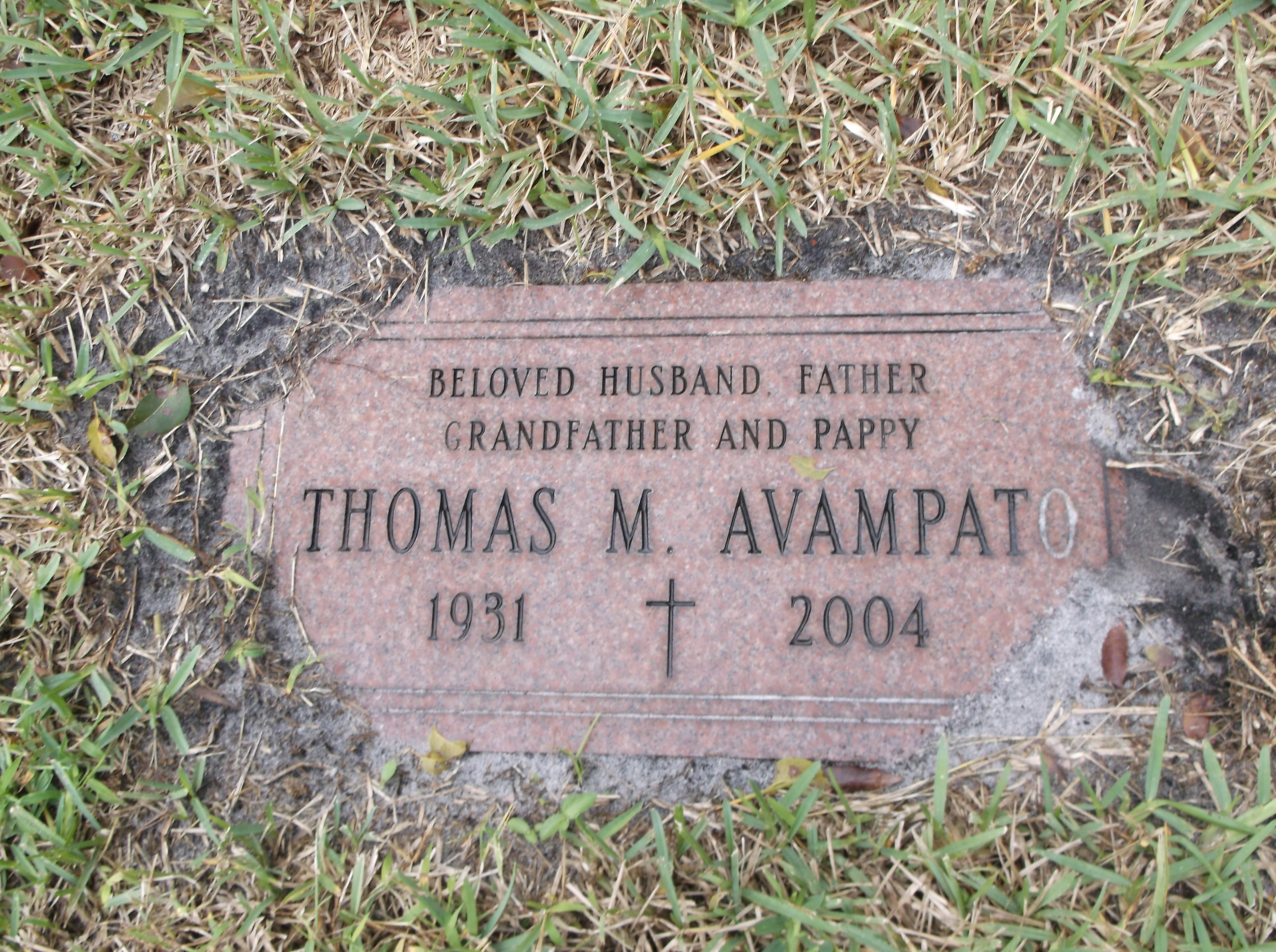 Thomas M Avampato