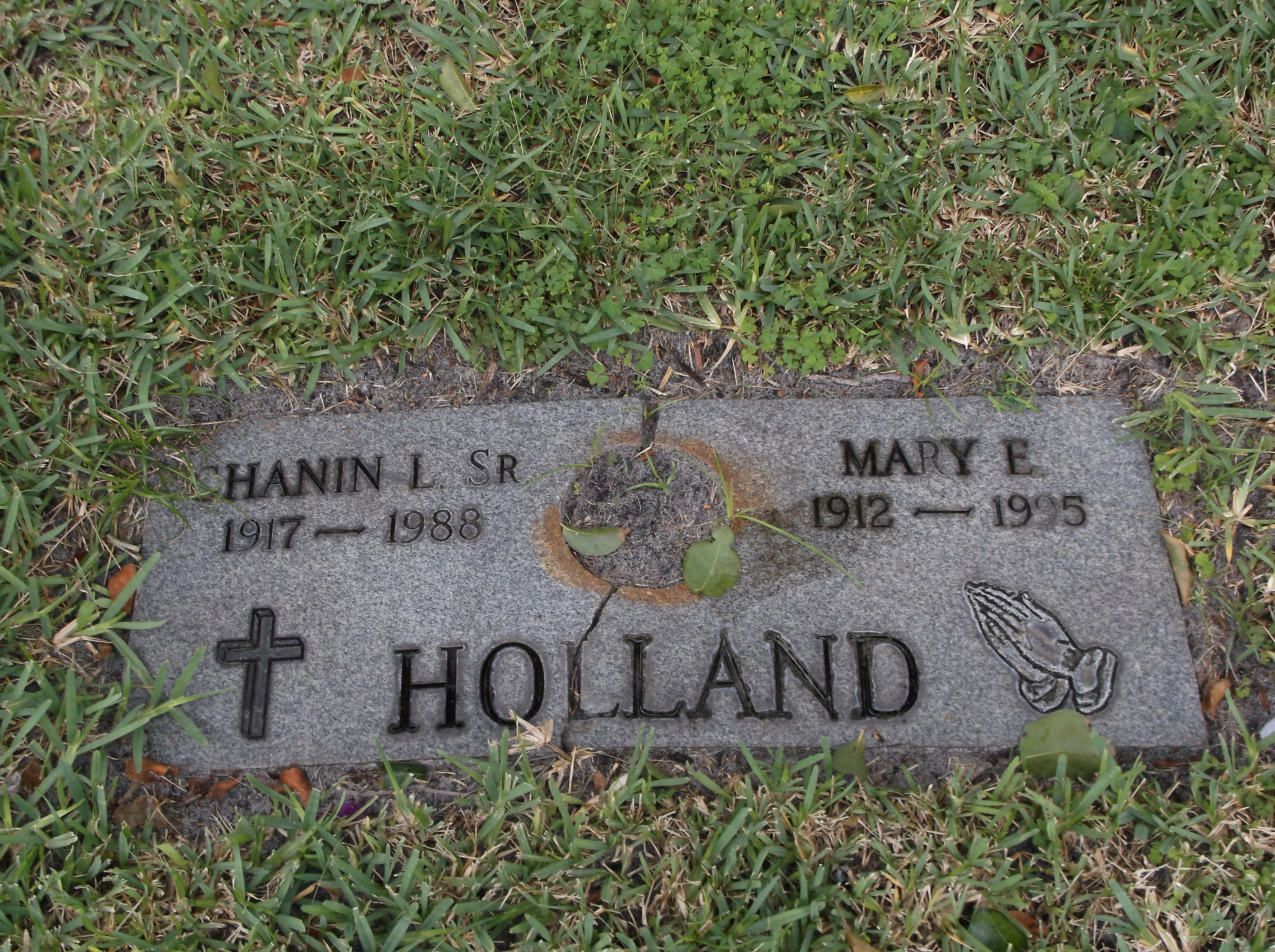 Mary E Holland