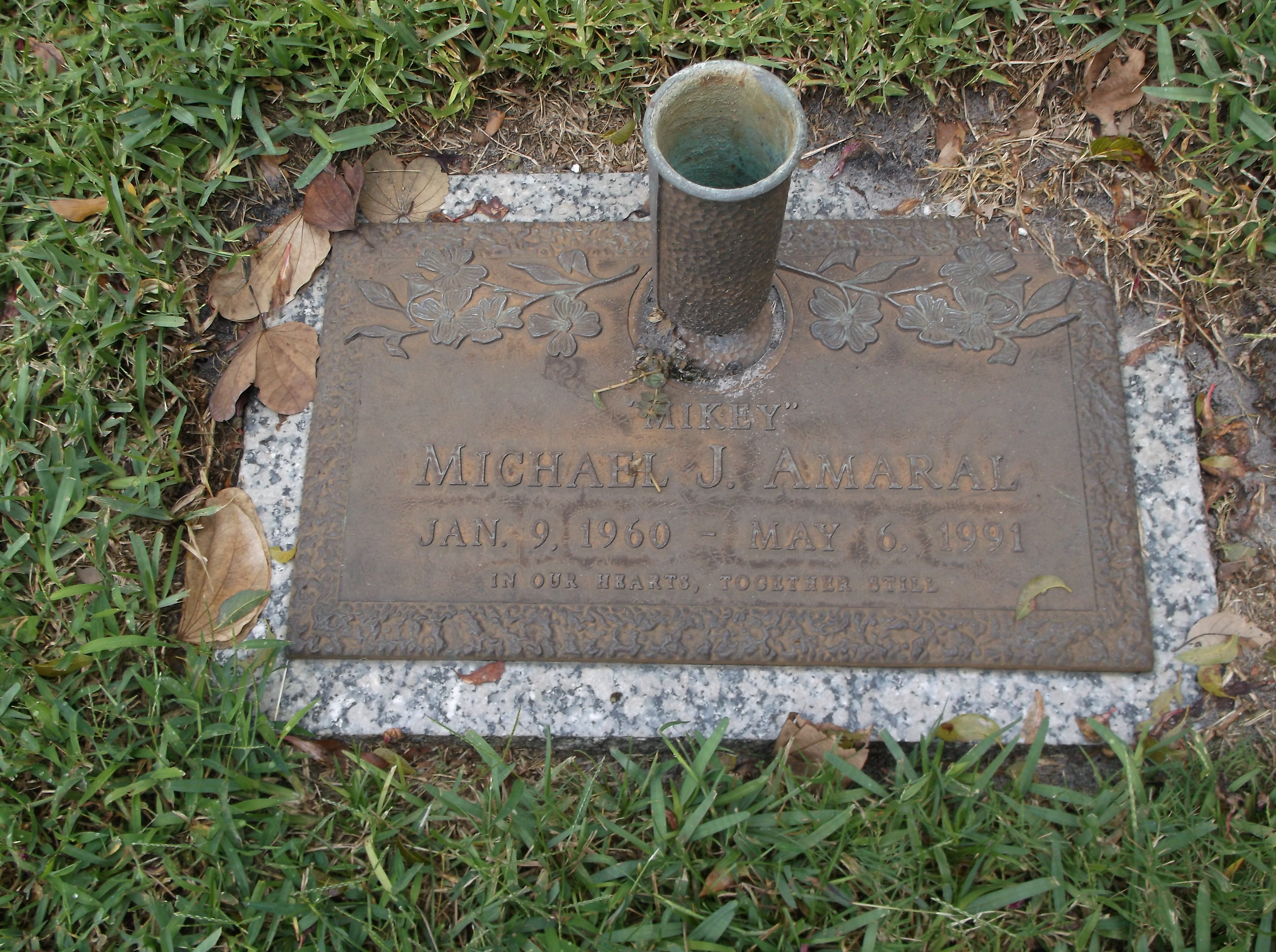Michael J Amaral