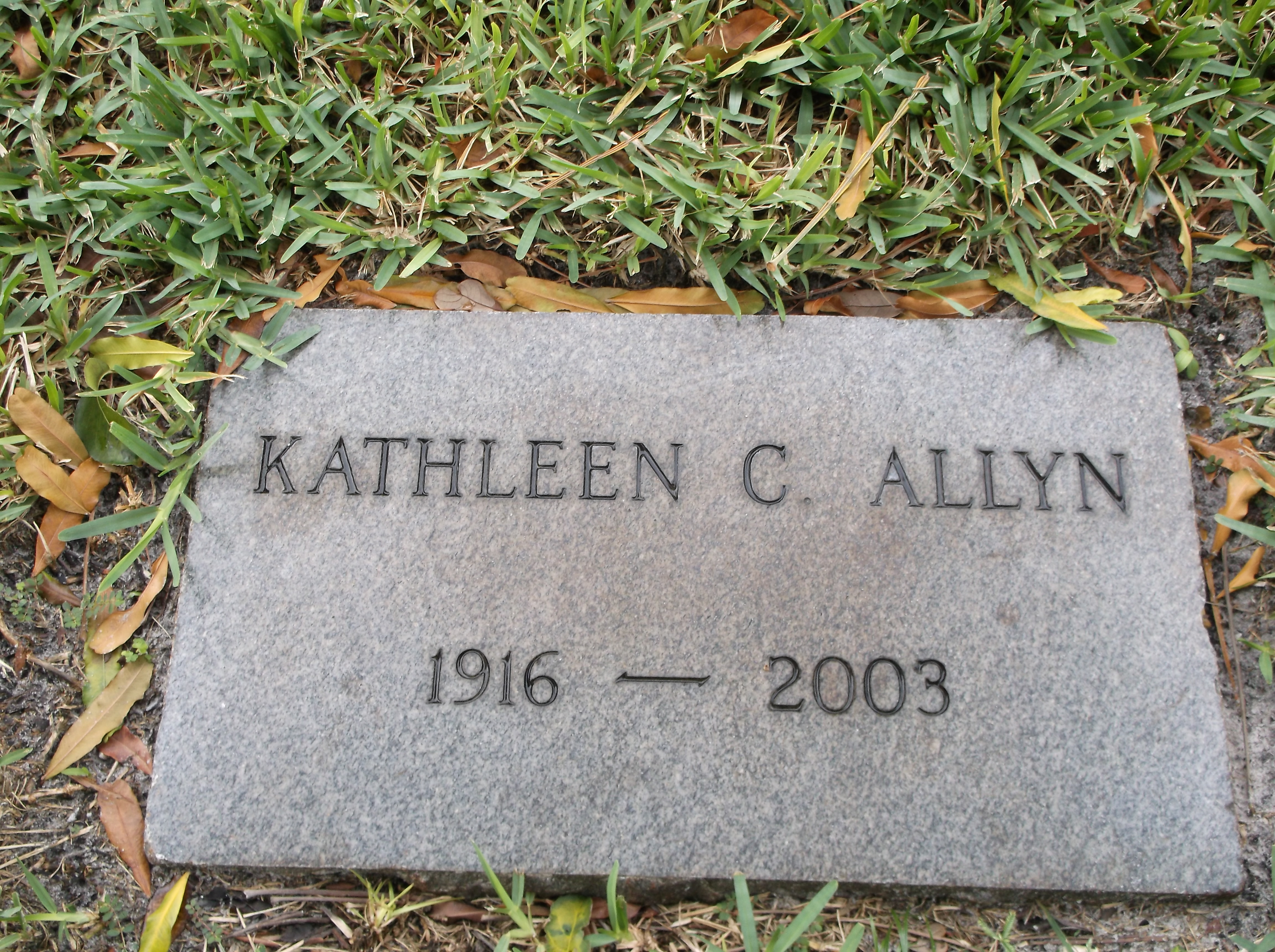 Kathleen C Allyn