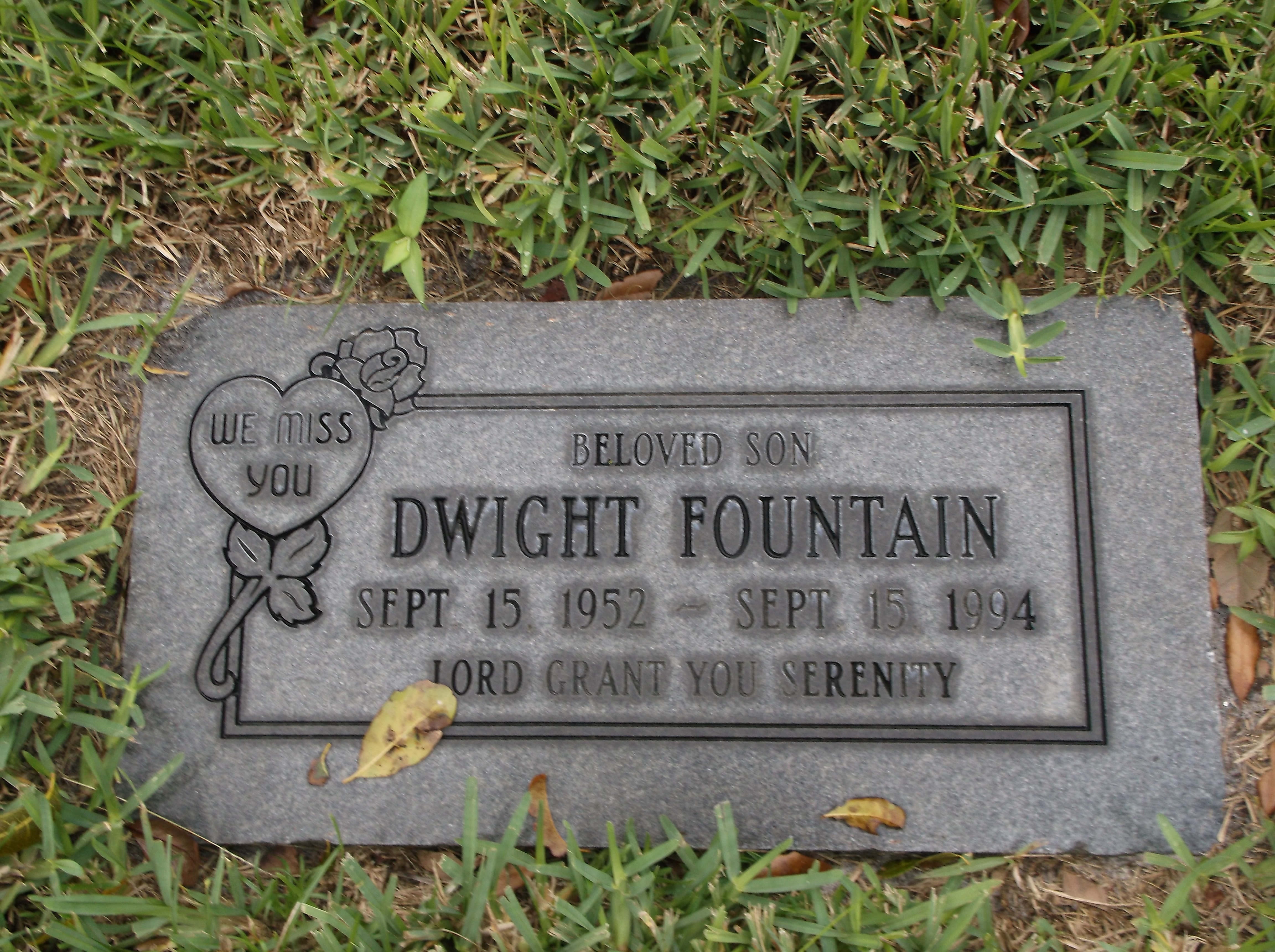 Dwight Fountain