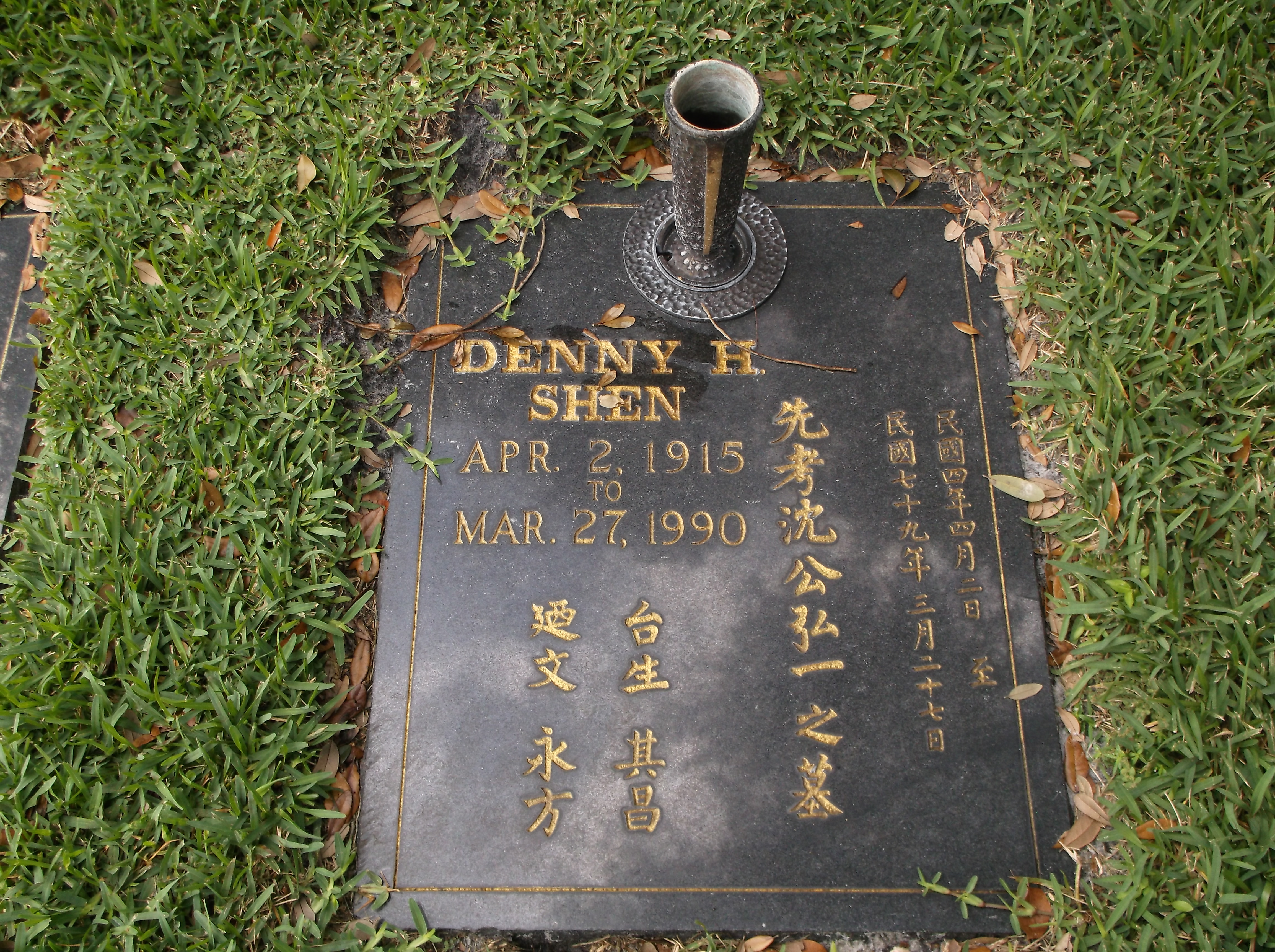 Denny H Shen