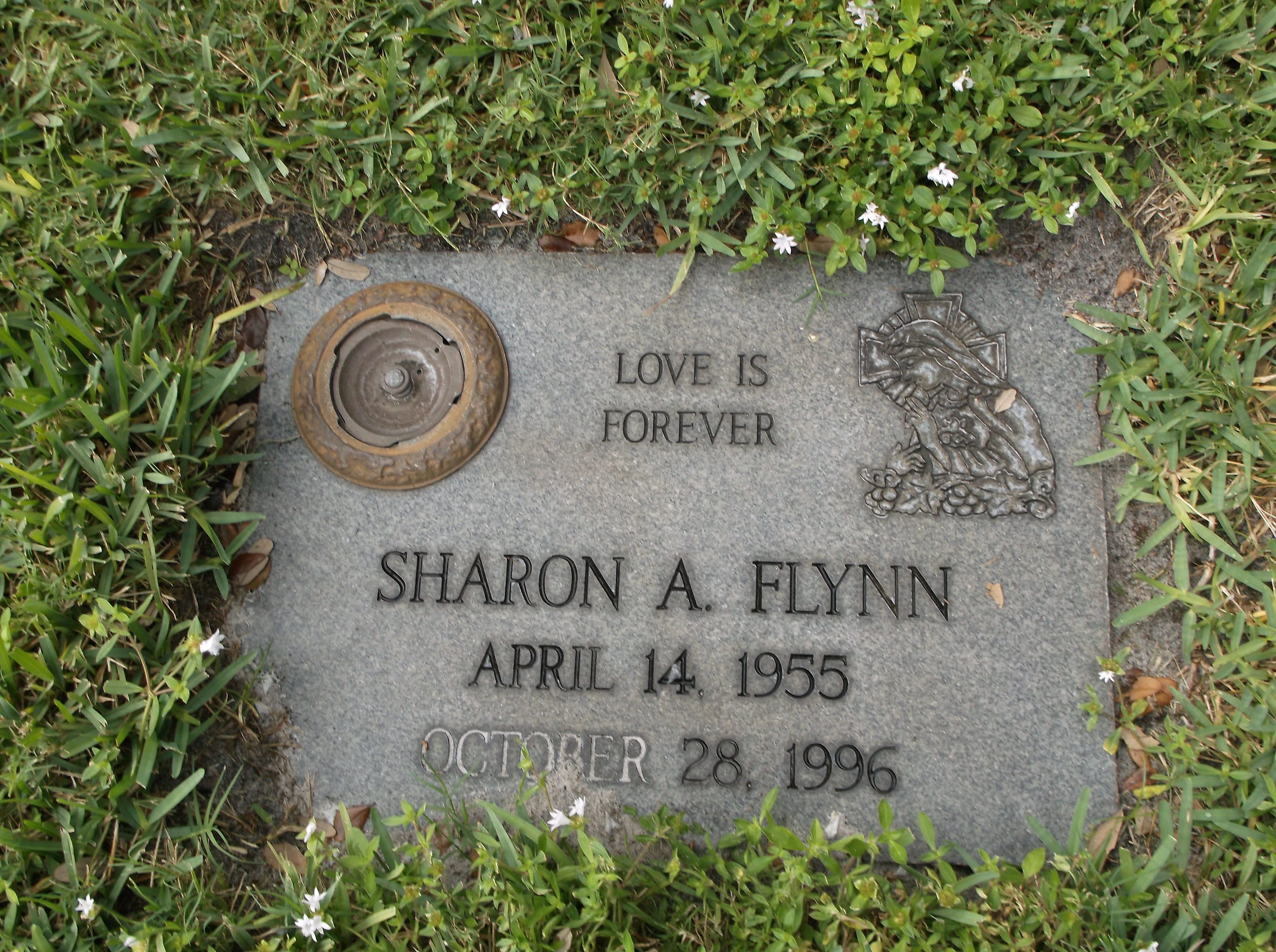 Sharon A Flynn