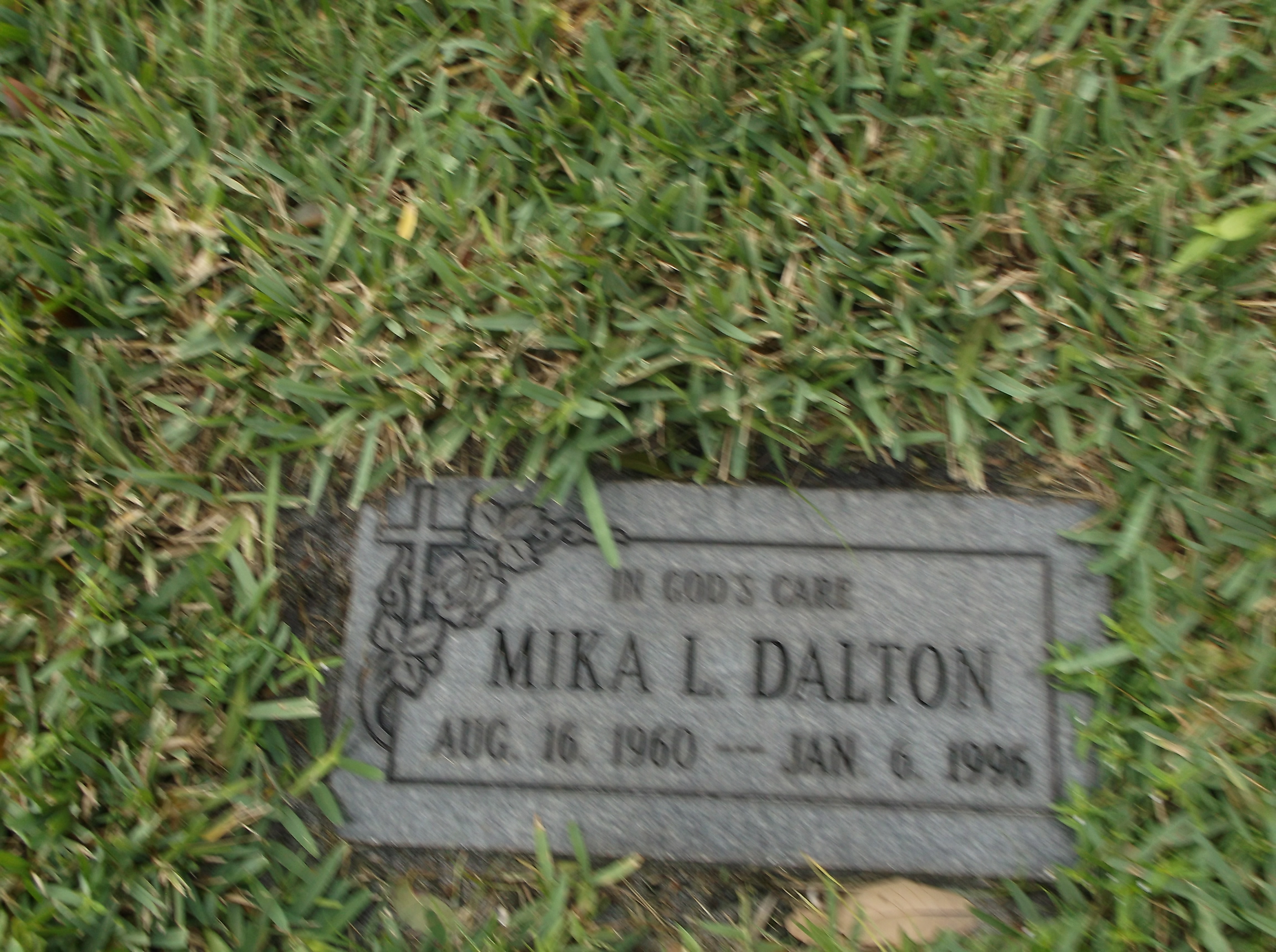 Mika L Dalton