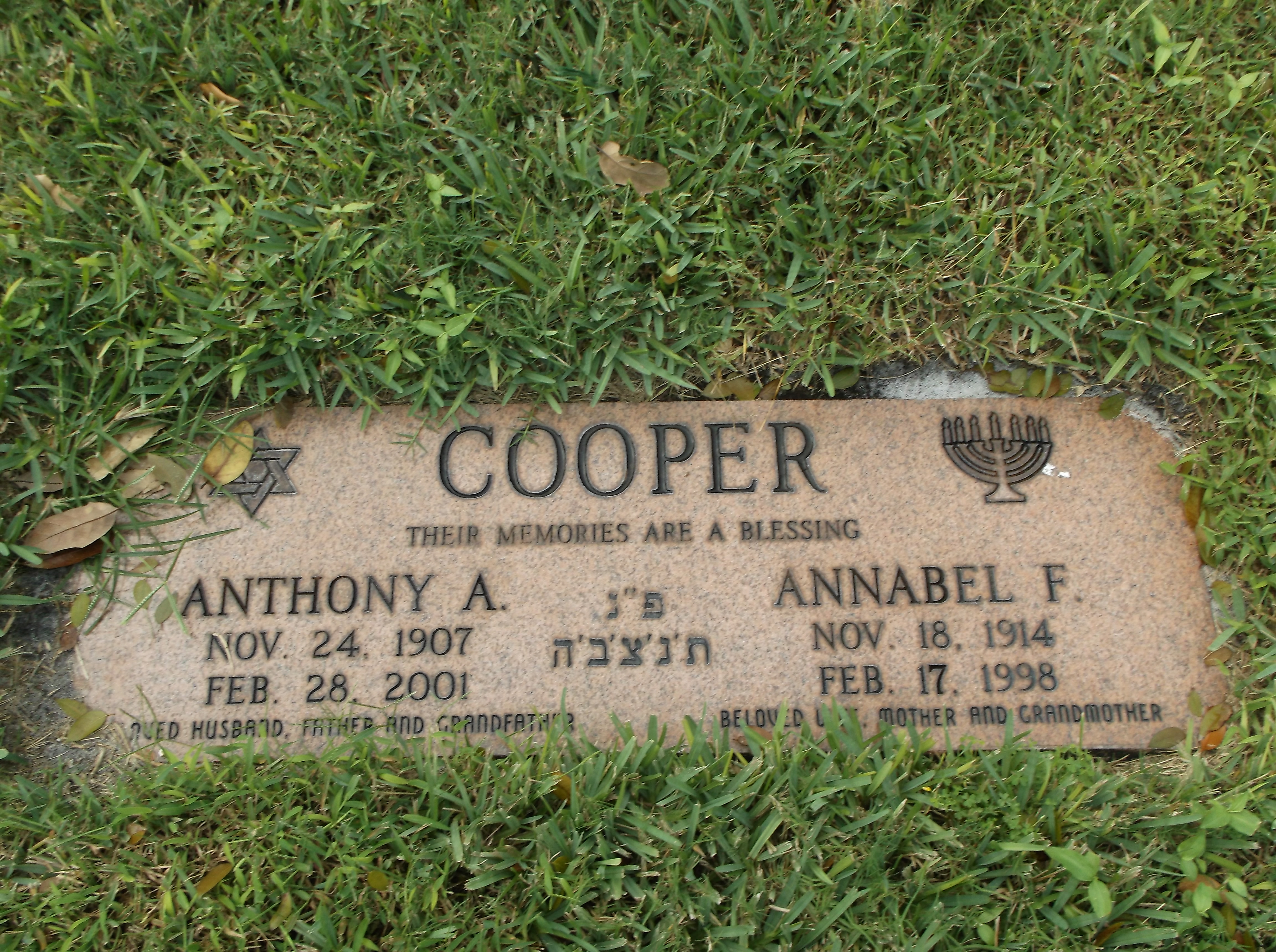 Annabel F Cooper