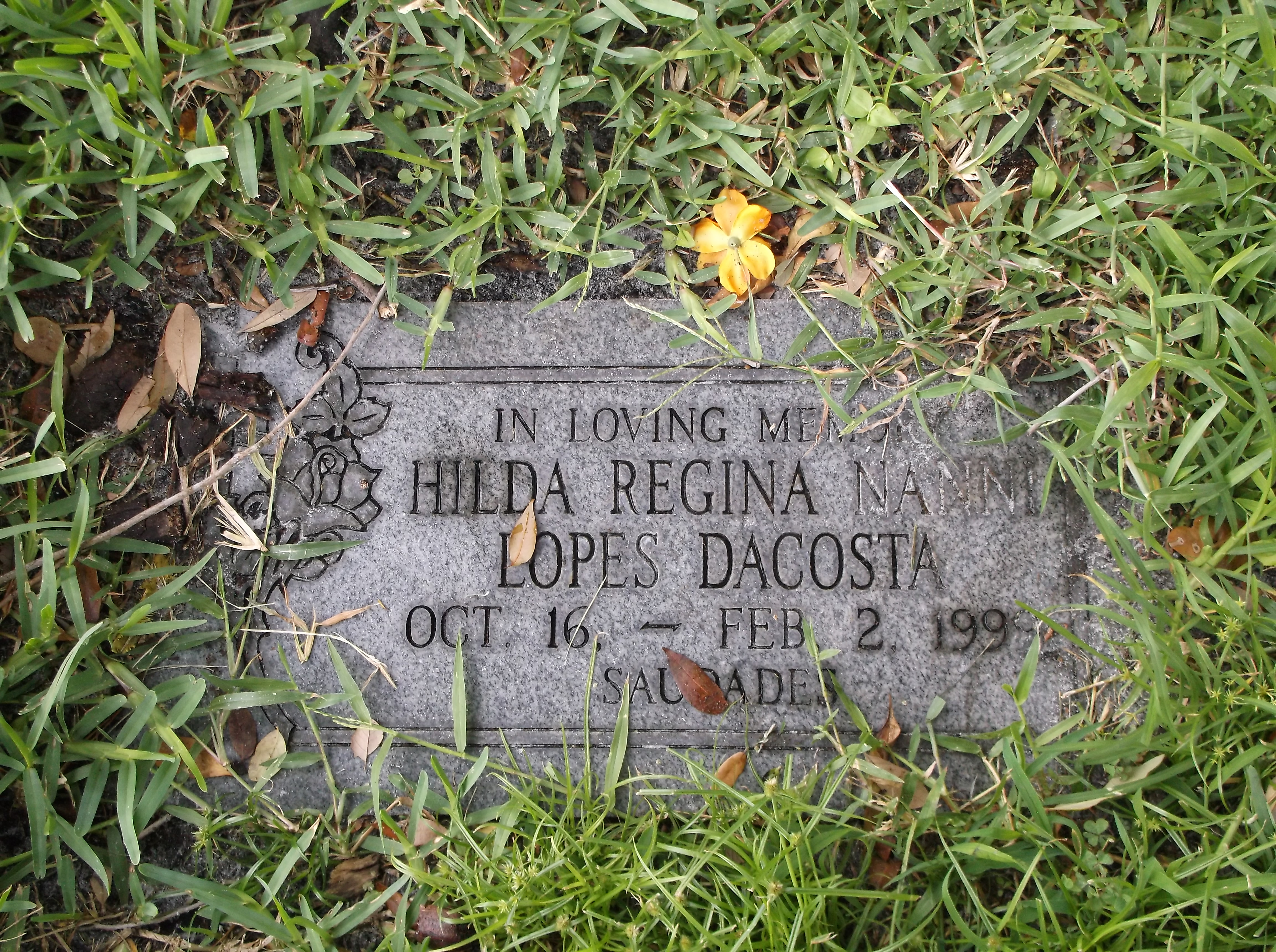 Hilda Regina Nanni Lopes Dacosta