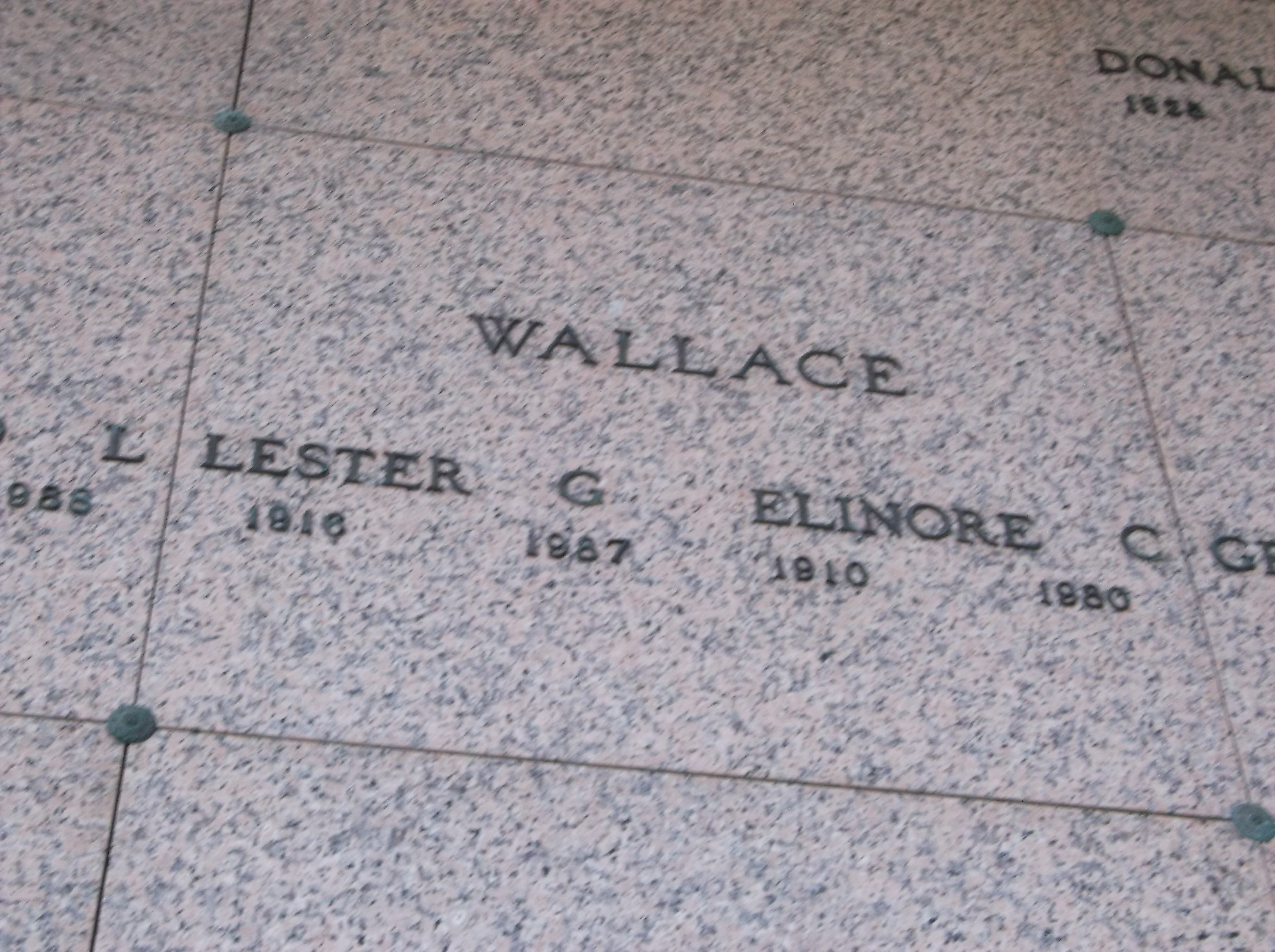 Elinore C Wallace