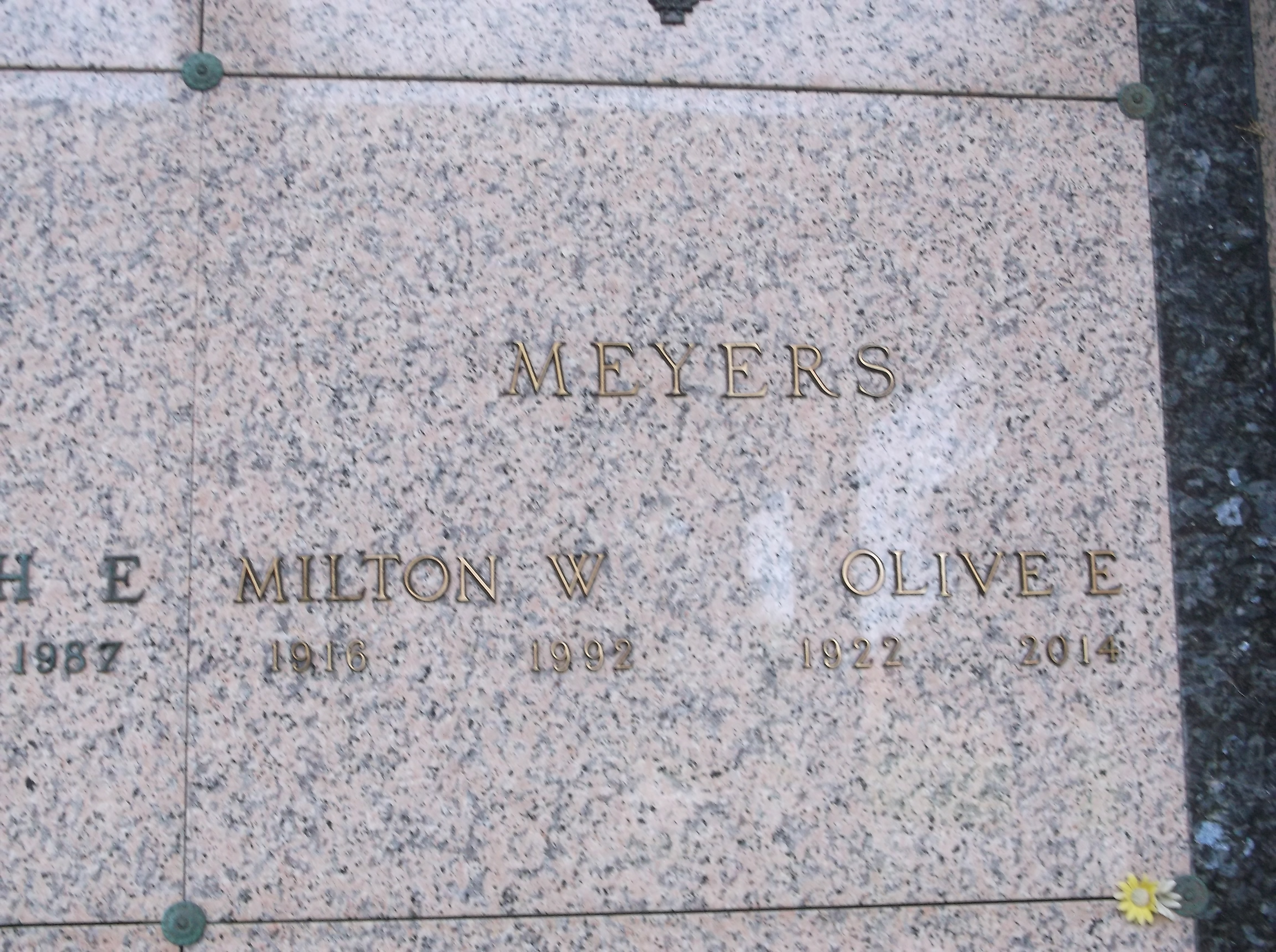 Olive E Meyers