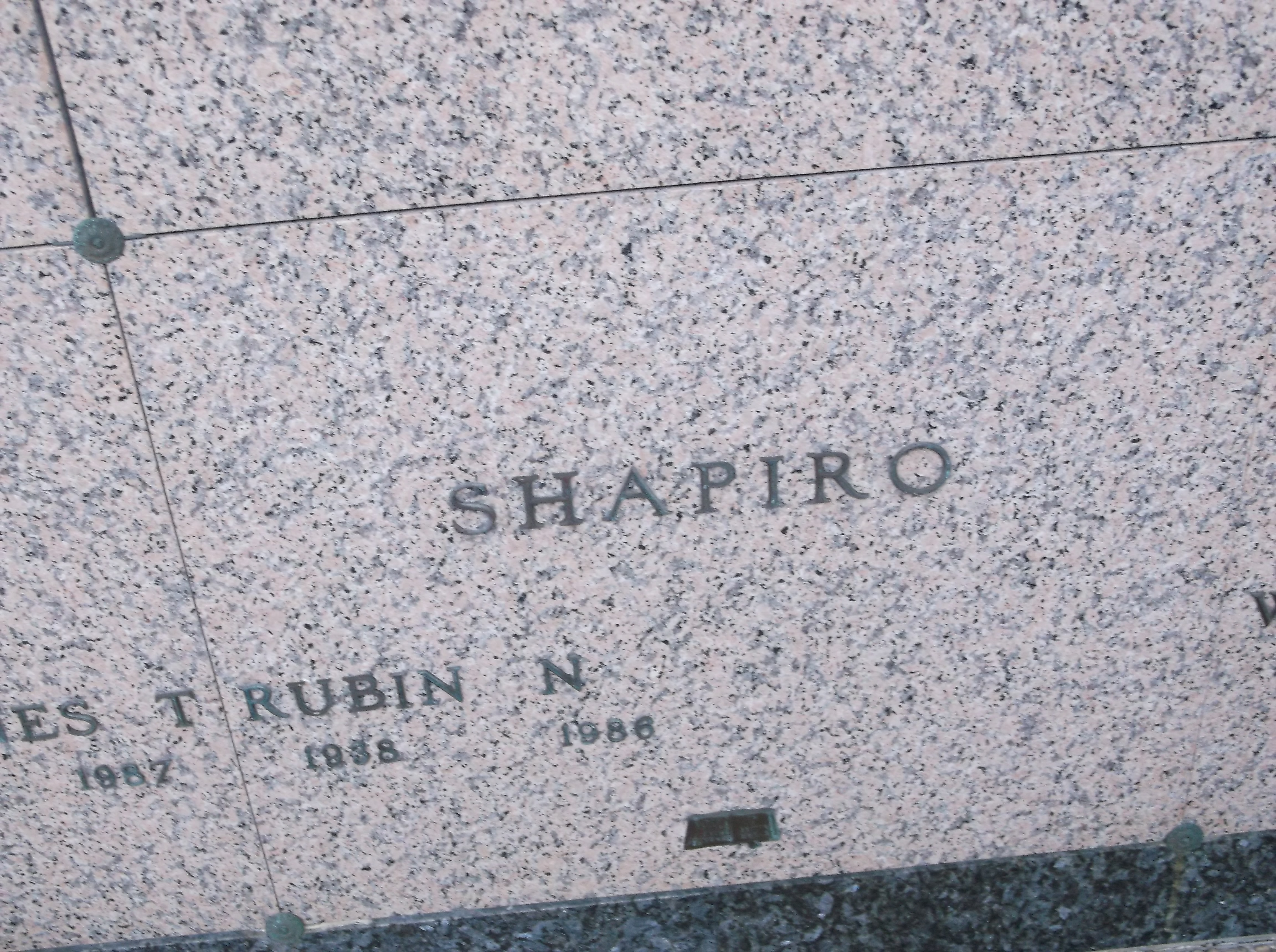 Rubin N Shapiro