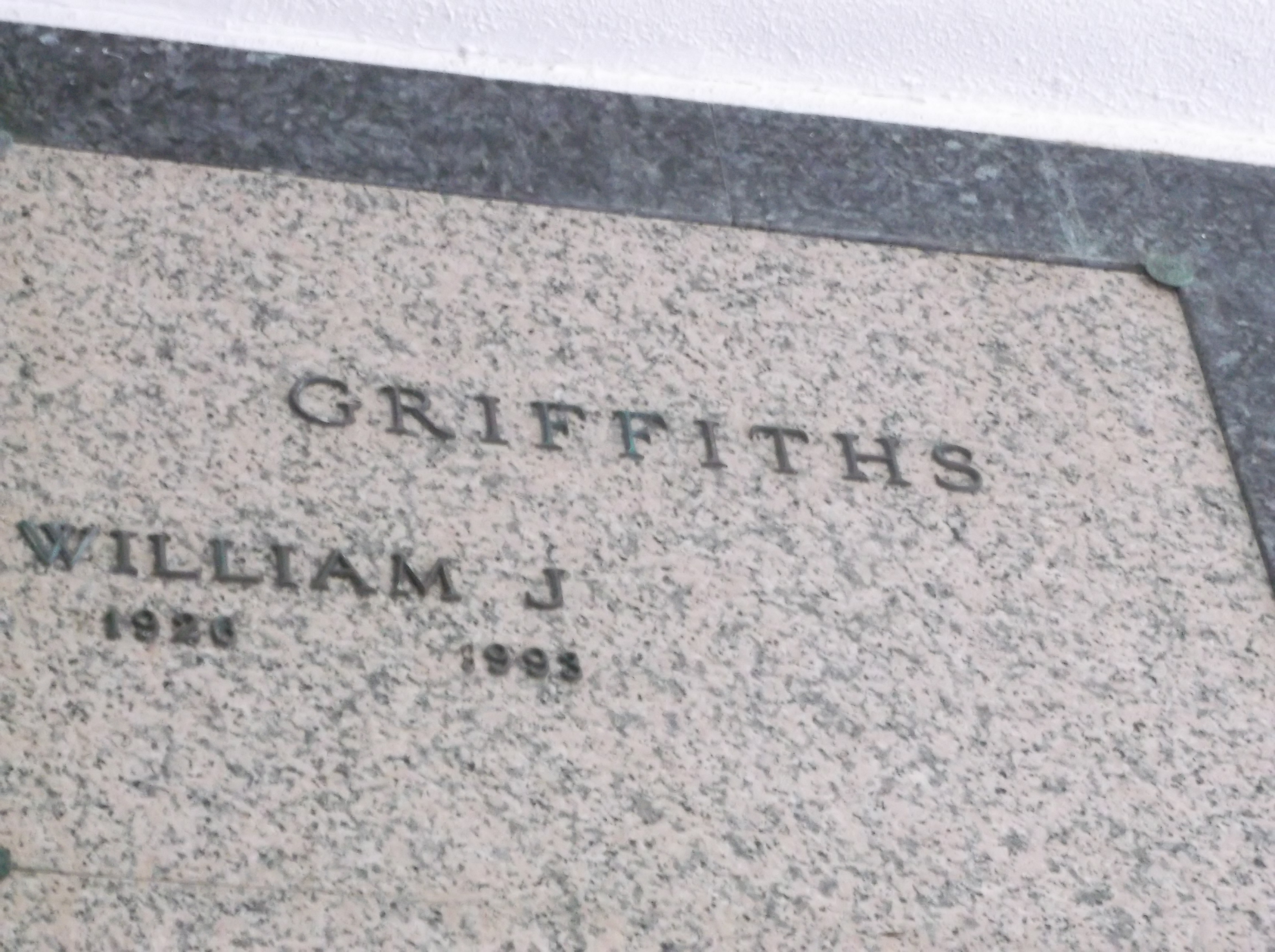 William J Griffiths