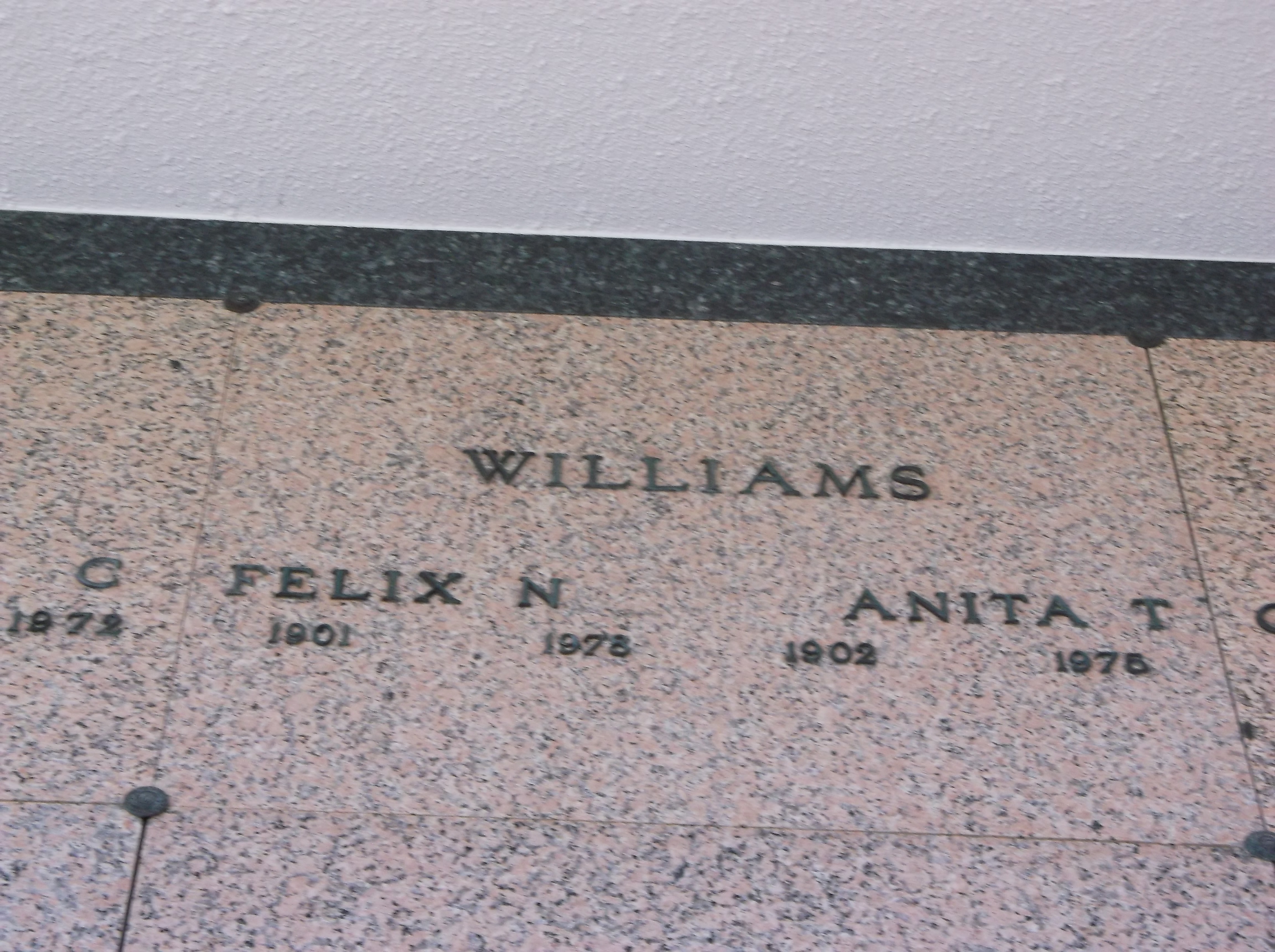 Felix N Williams