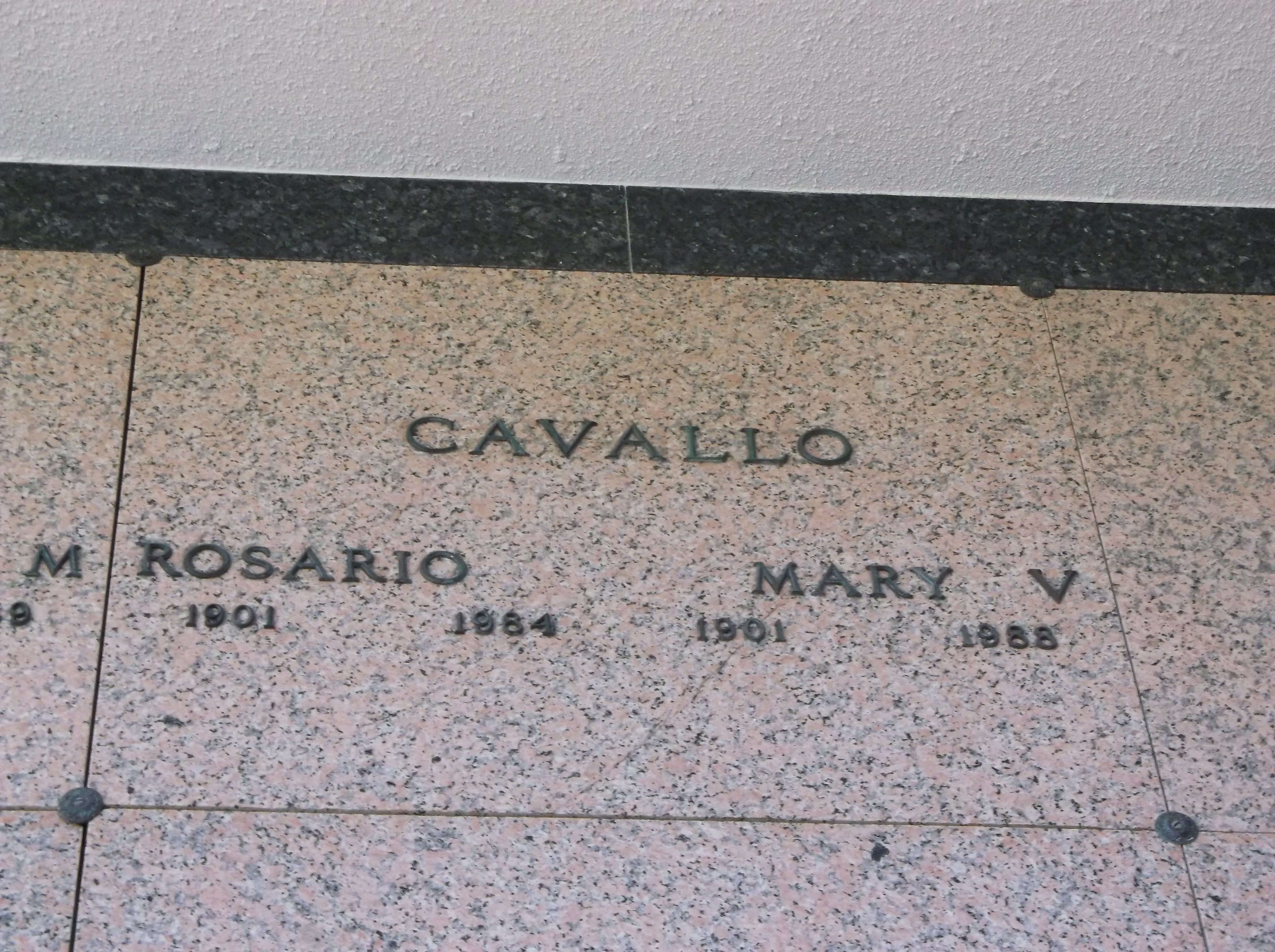 Mary V Cavallo