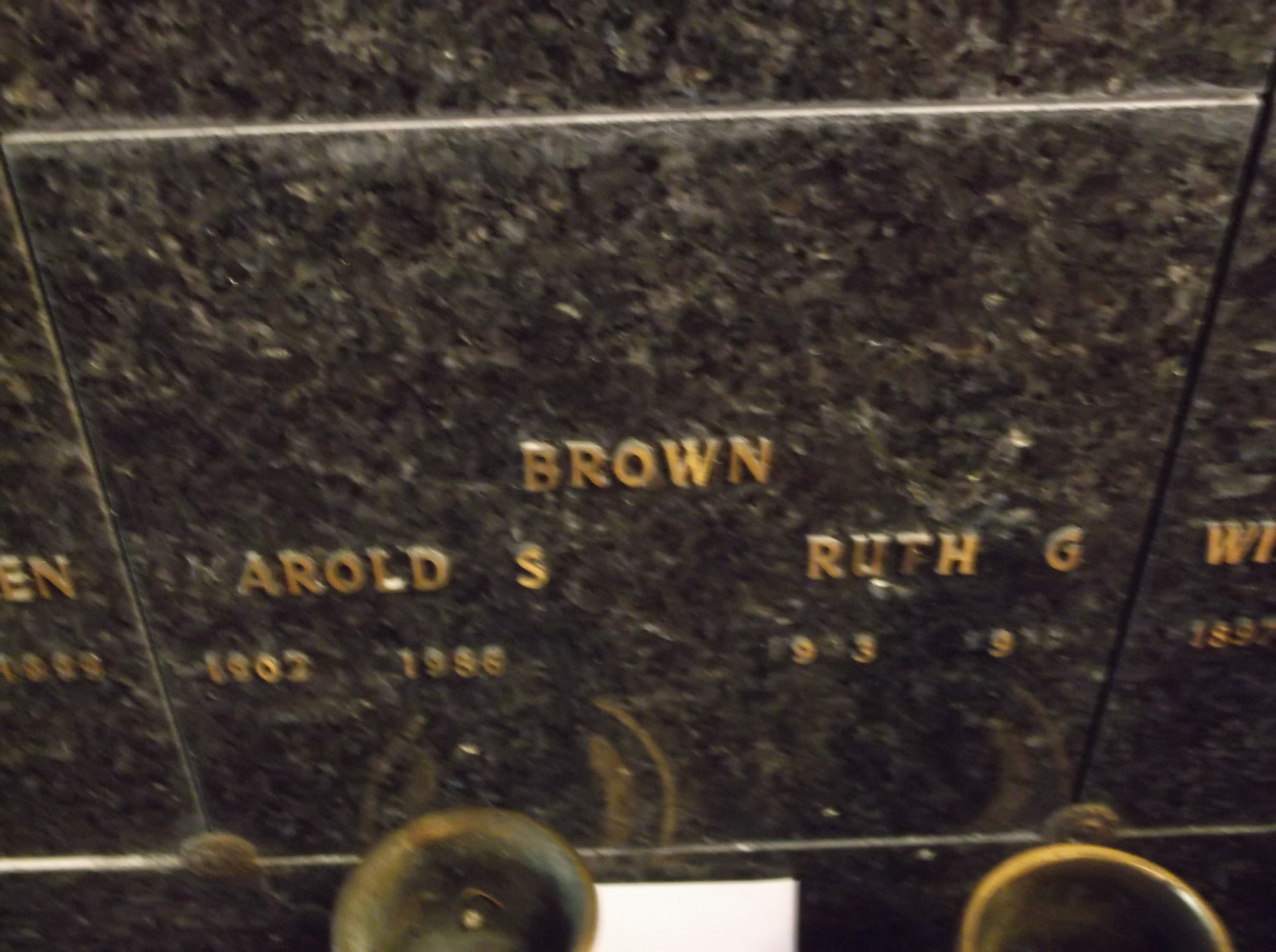 Harold S Brown