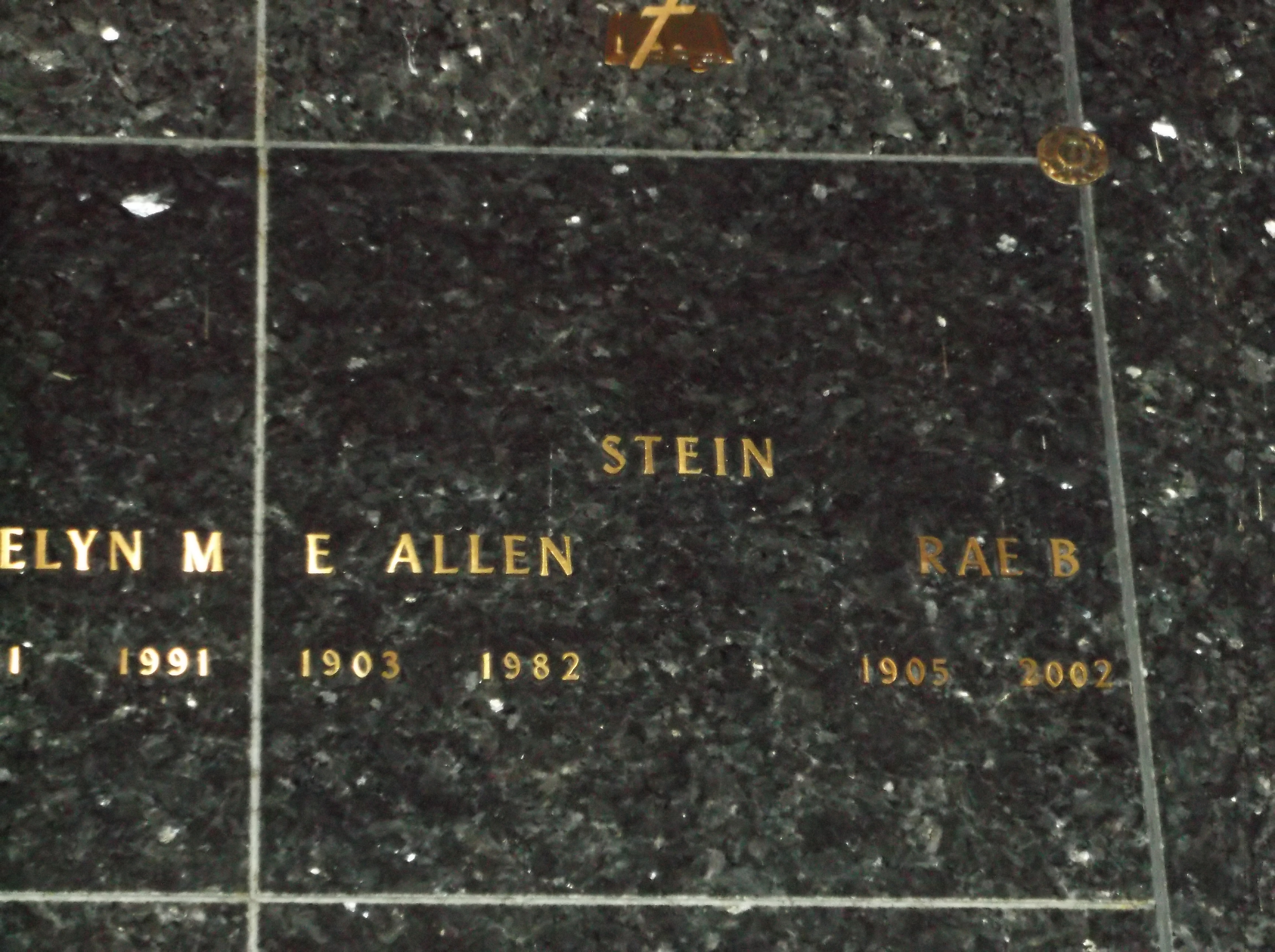 E Allen Stein