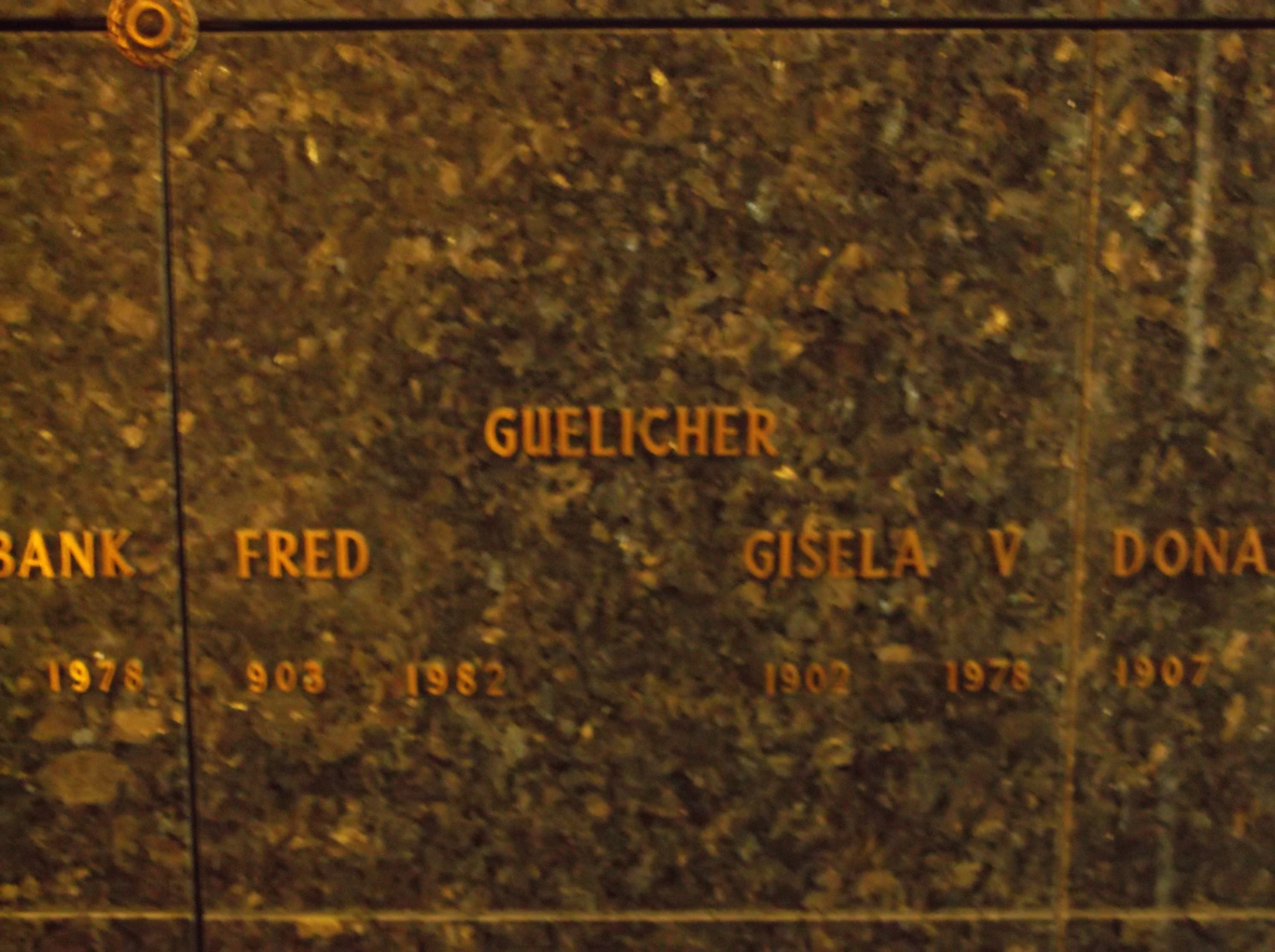 Gisela V Guelicher