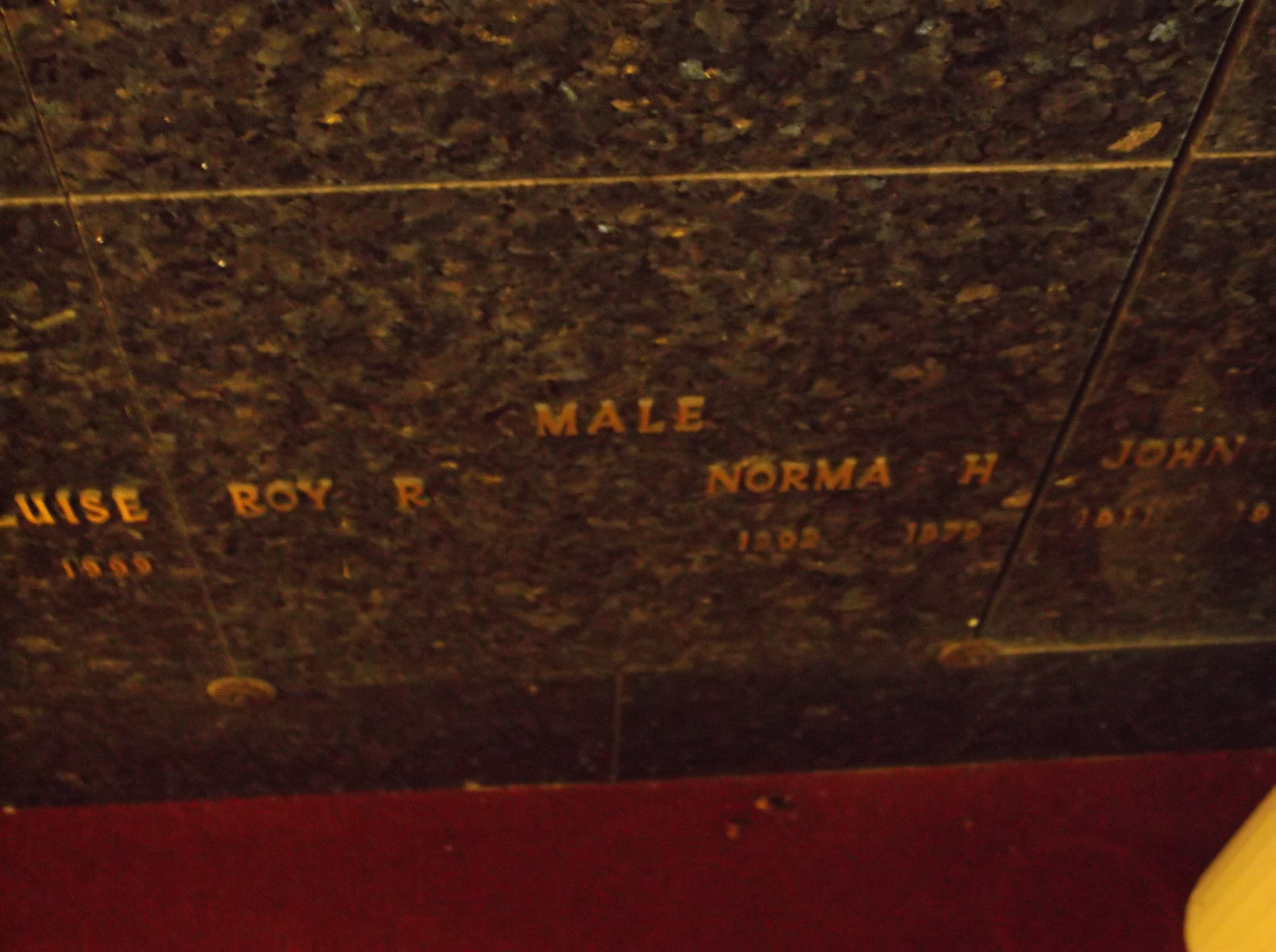 Norma H Male