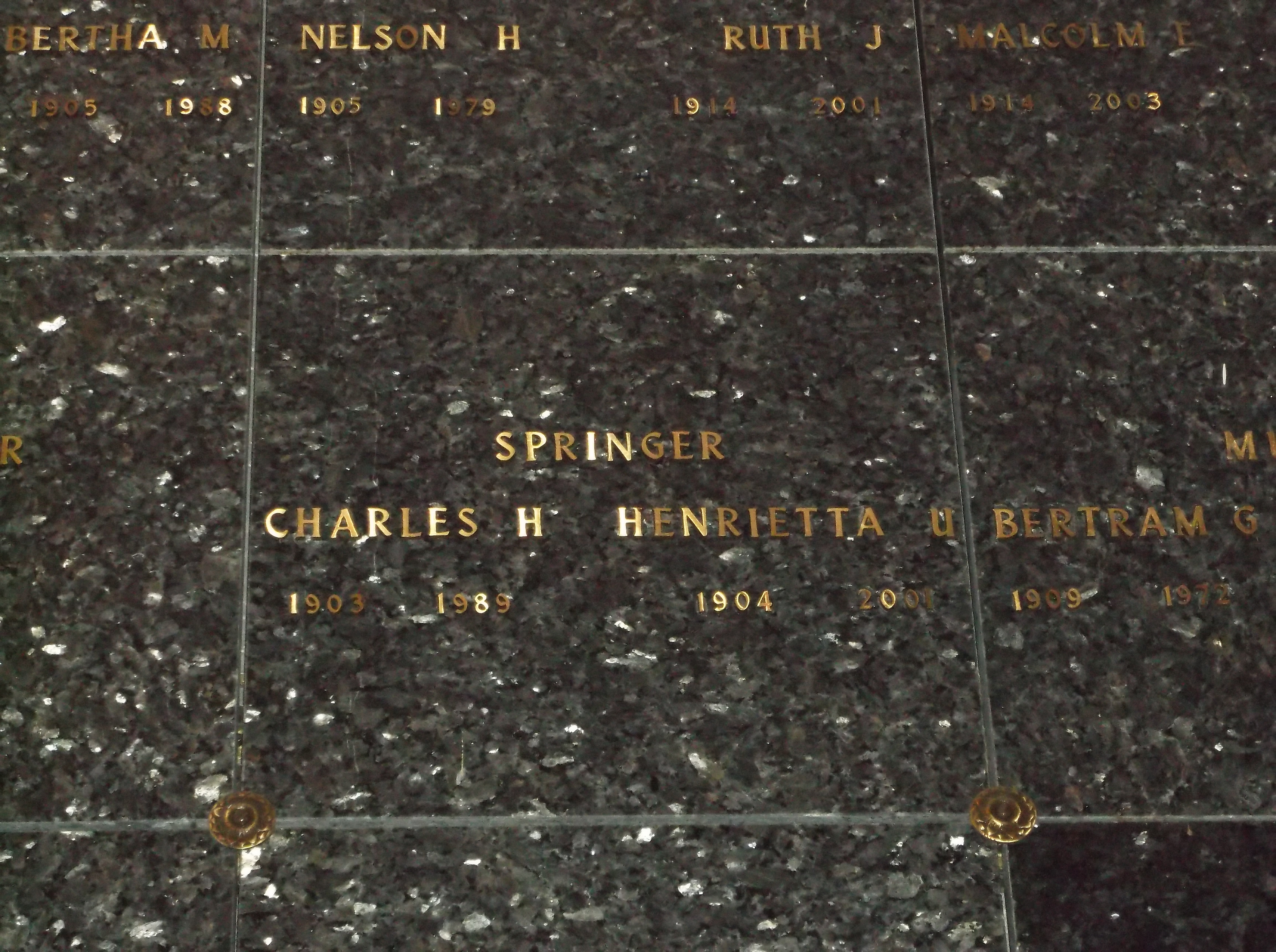 Charles H Springer