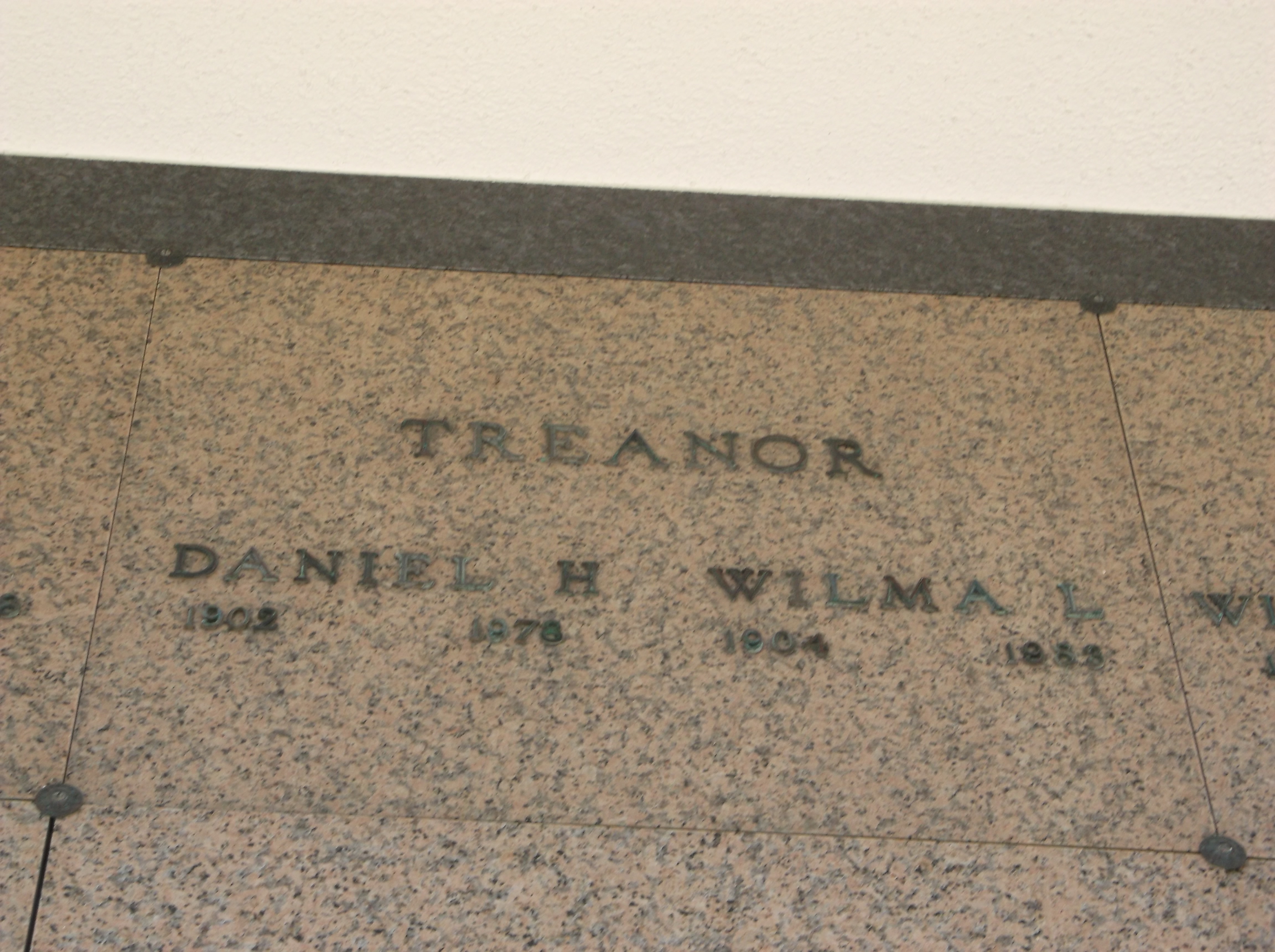 Daniel H Treanor