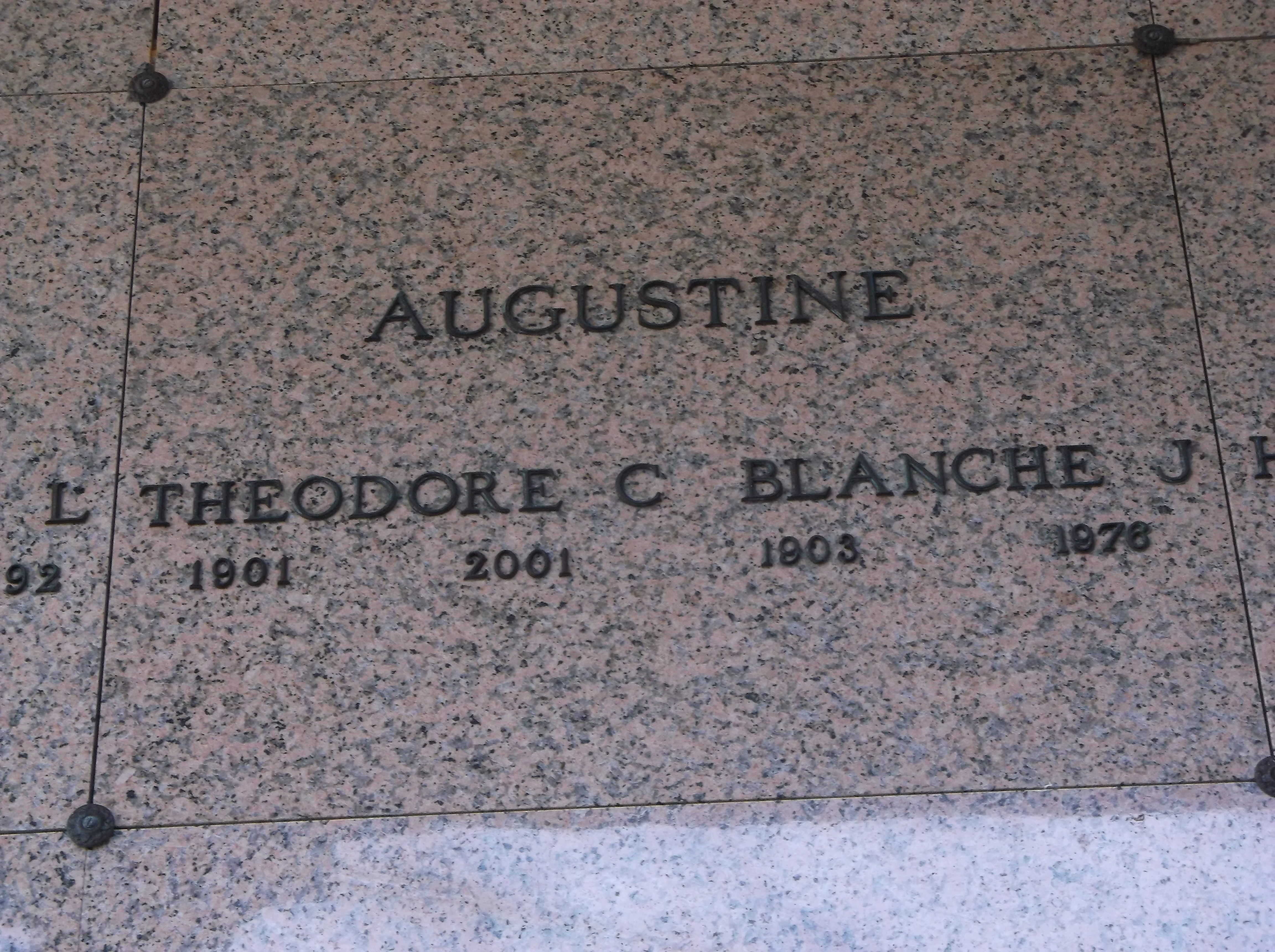 Theodore C Augustine