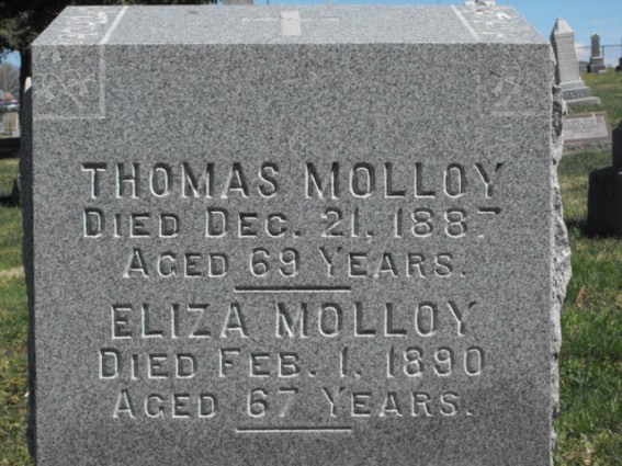 Thomas Malloy