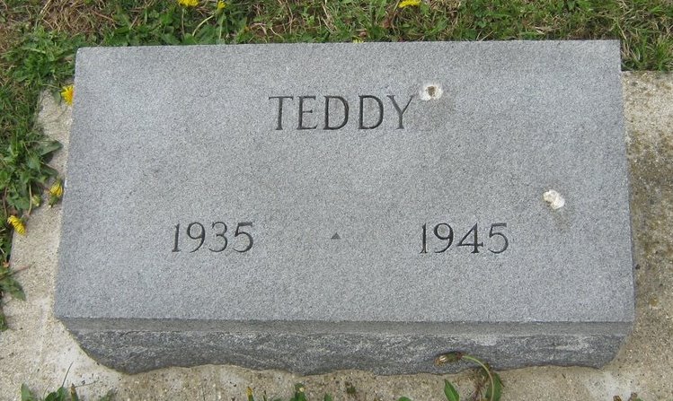 Teddy Springer