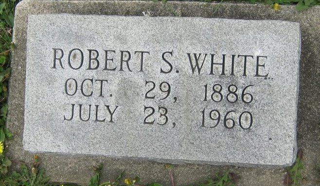 Robert S White