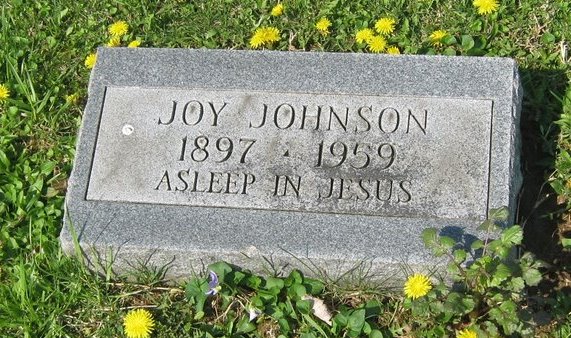 Joy Johnson