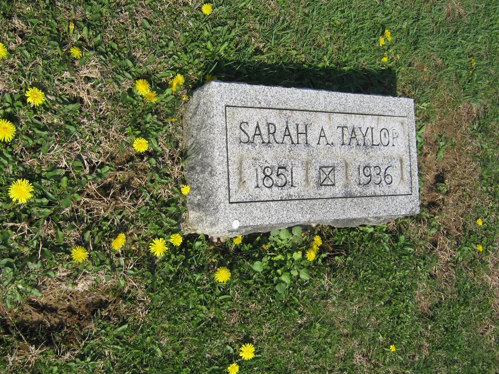 Sarah A Taylor