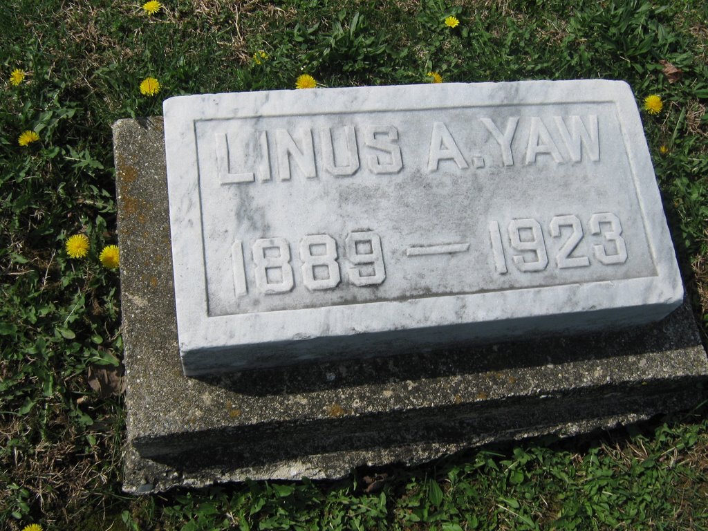 Linus A Yaw