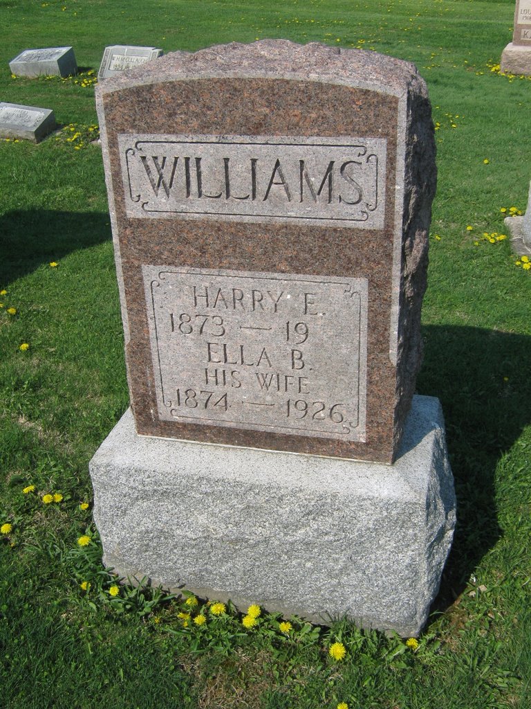 Harry E Williams