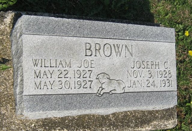 Joseph C Brown