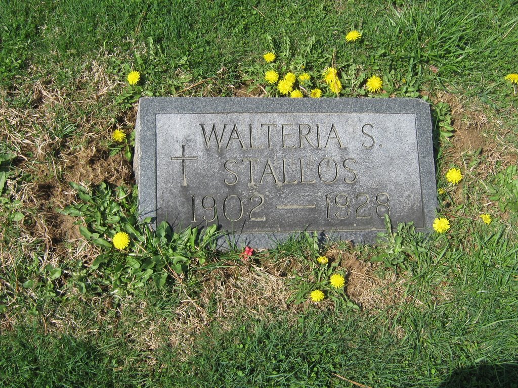 Walteria S Stallos