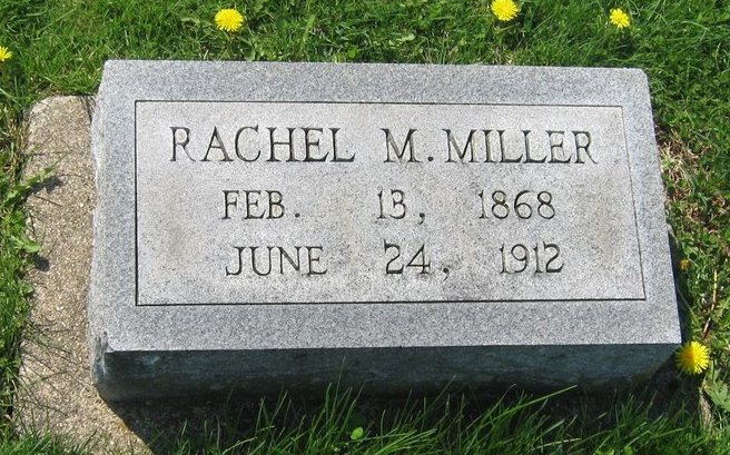 Rachel M Miller