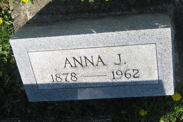 Anna J Sims