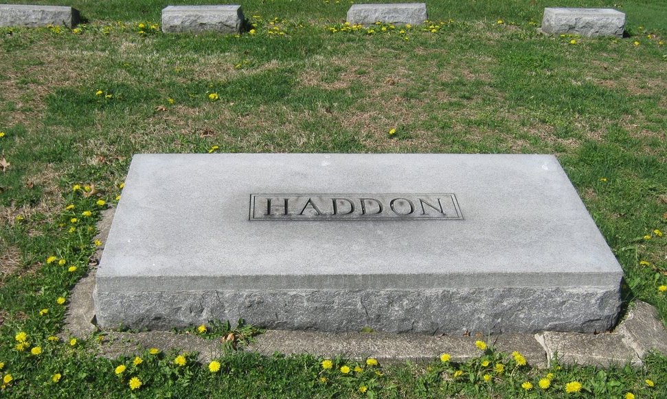 David W Haddon