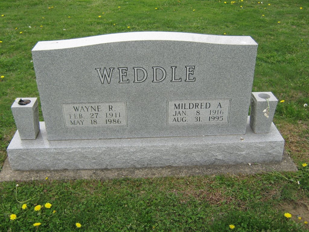 Wayne R Weddle