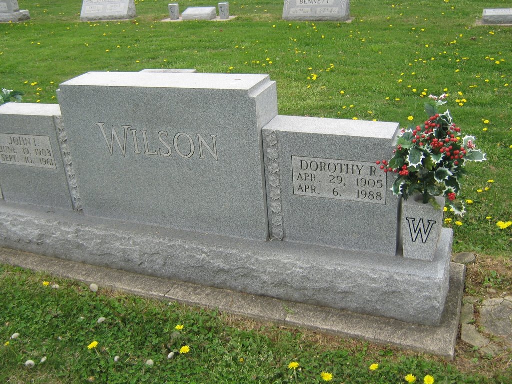 Dorothy R Wilson