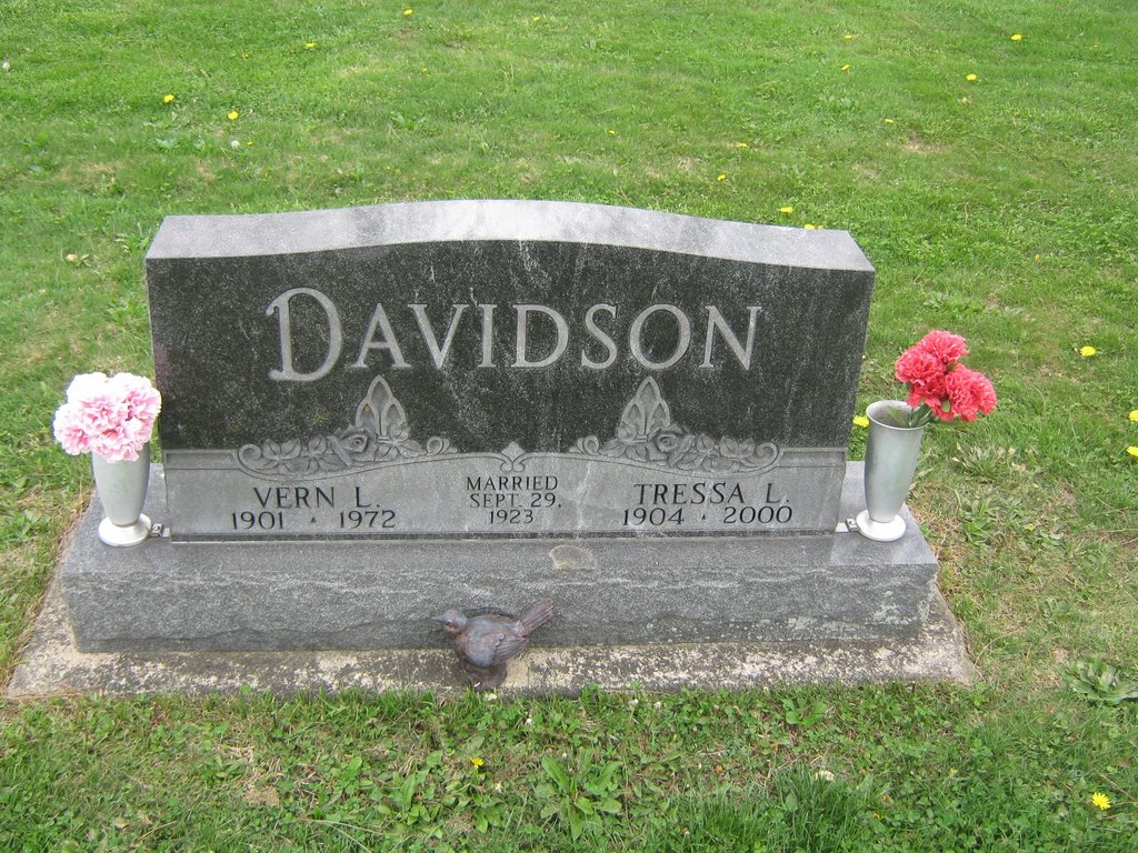 Vern L Davidson