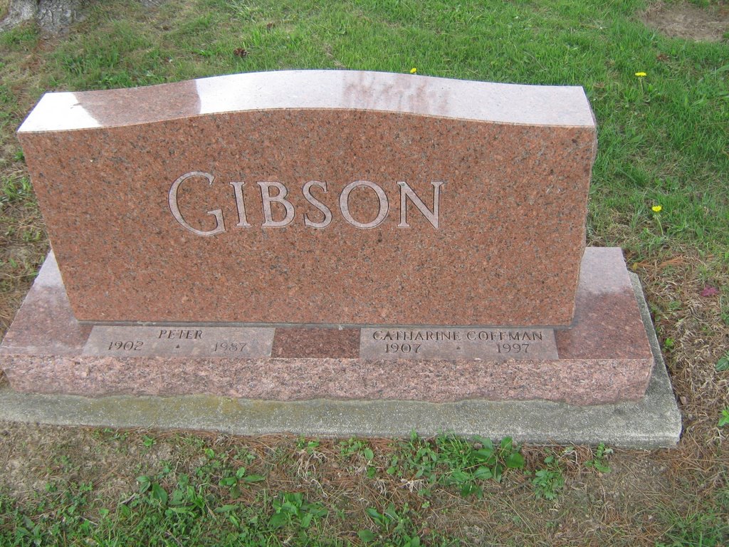 Peter Gibson