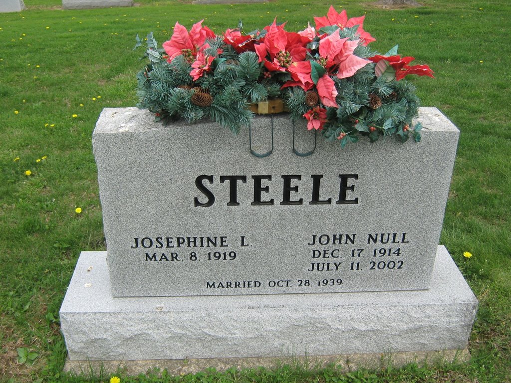Capt John Null Steele